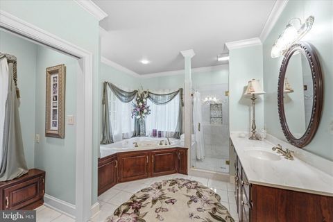 Tiny photo for 22030 Watson Road, LEESBURG, VA 20175 (MLS # VALO2120478)