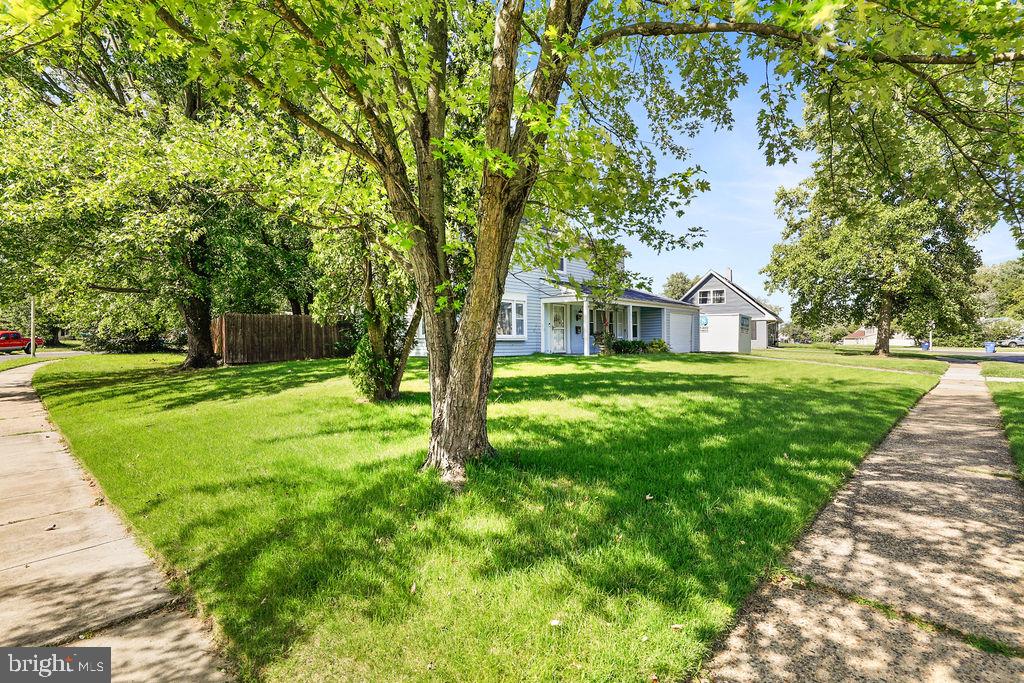 159 MILLBROOK DRIVE