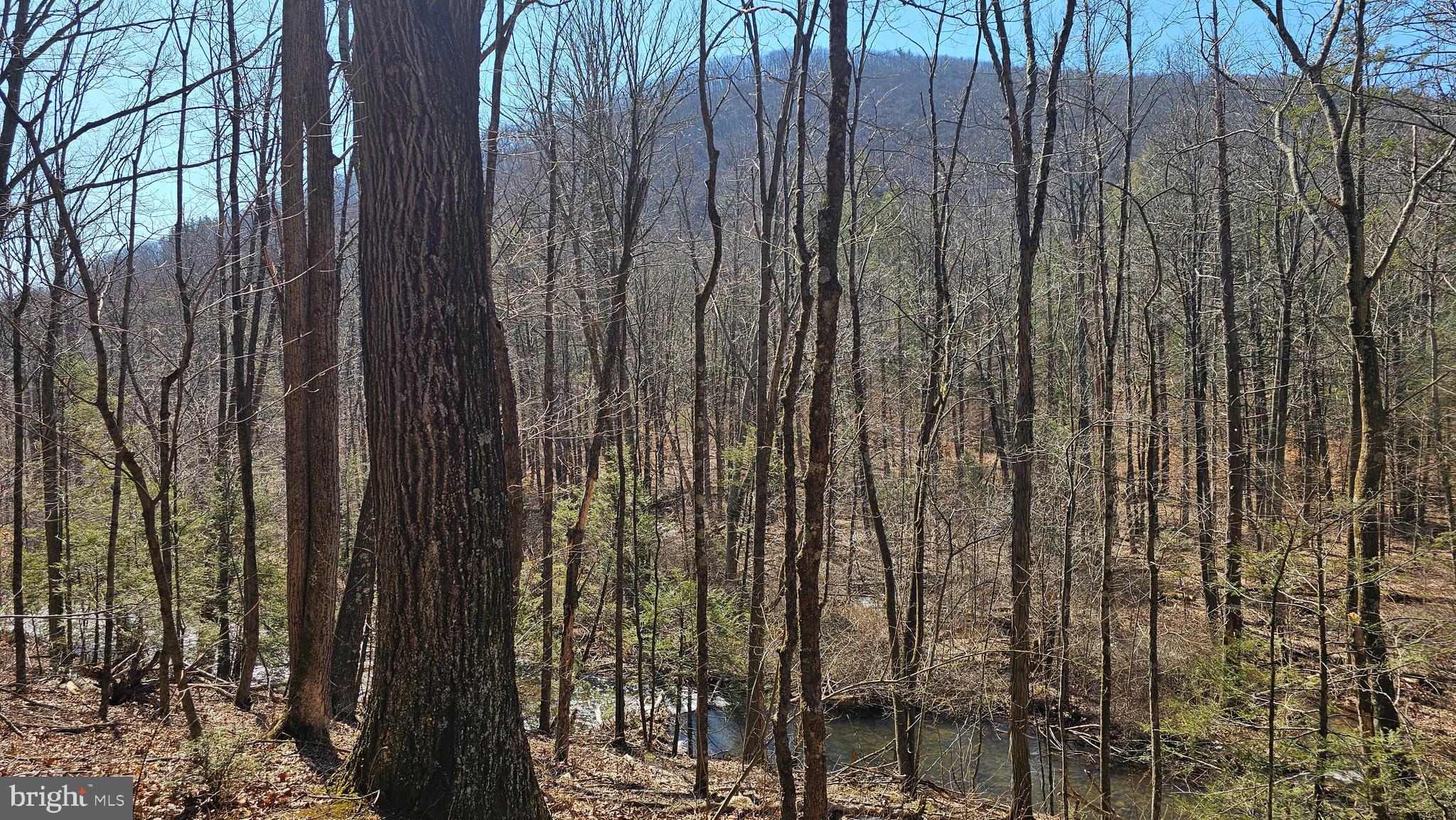 OLD US HIGHWAY 322 LOT 4