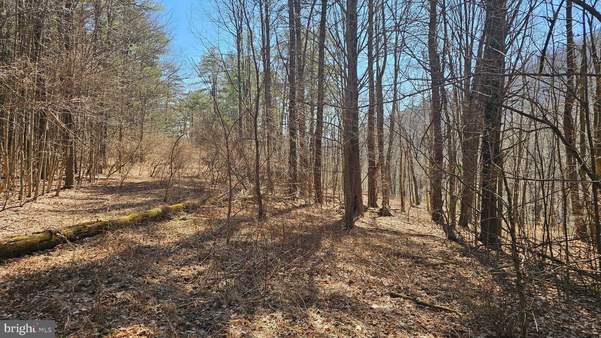 OLD US HIGHWAY 322 LOT 4