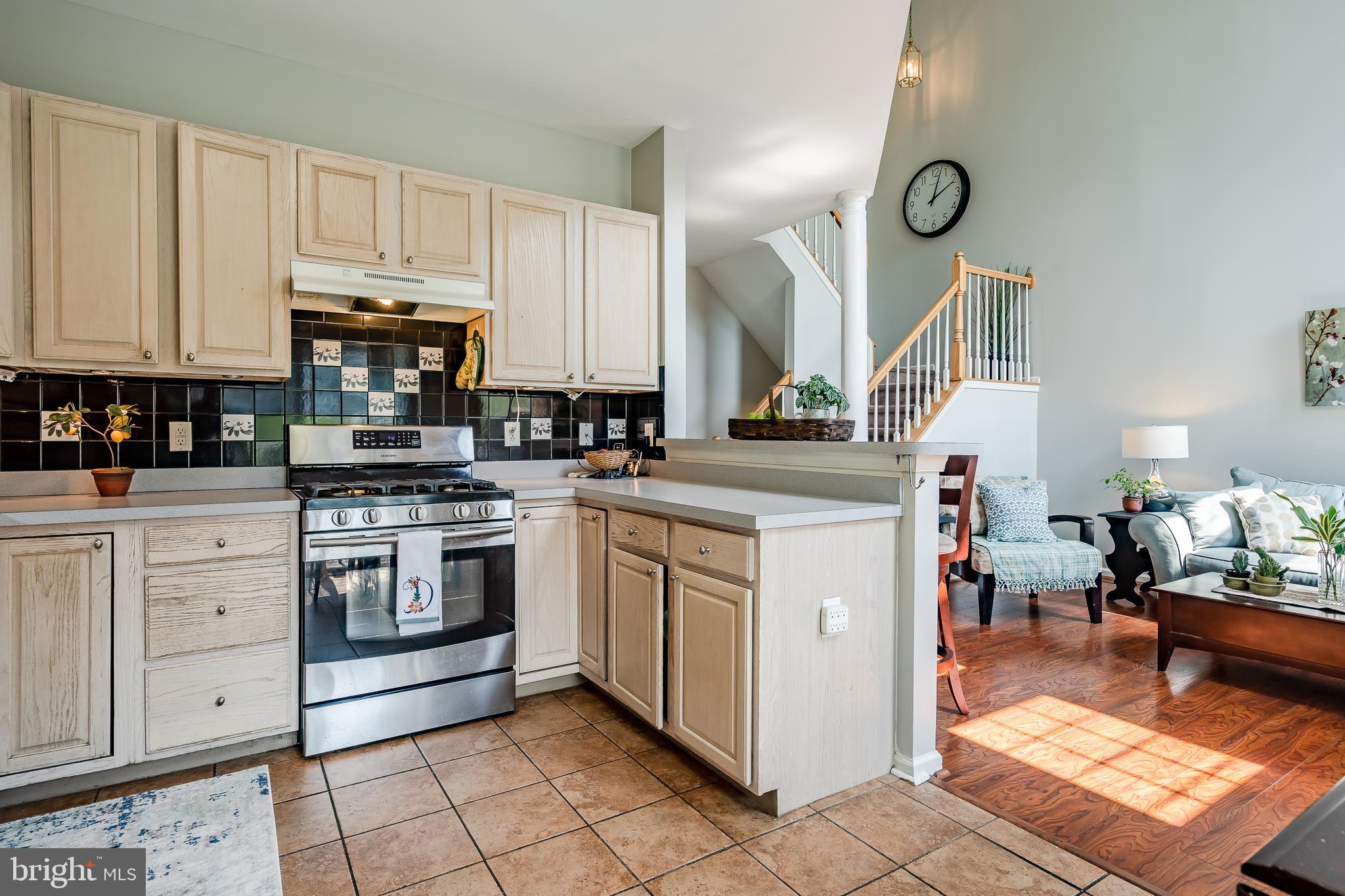 BRANDYWINE @ THORN - Residential