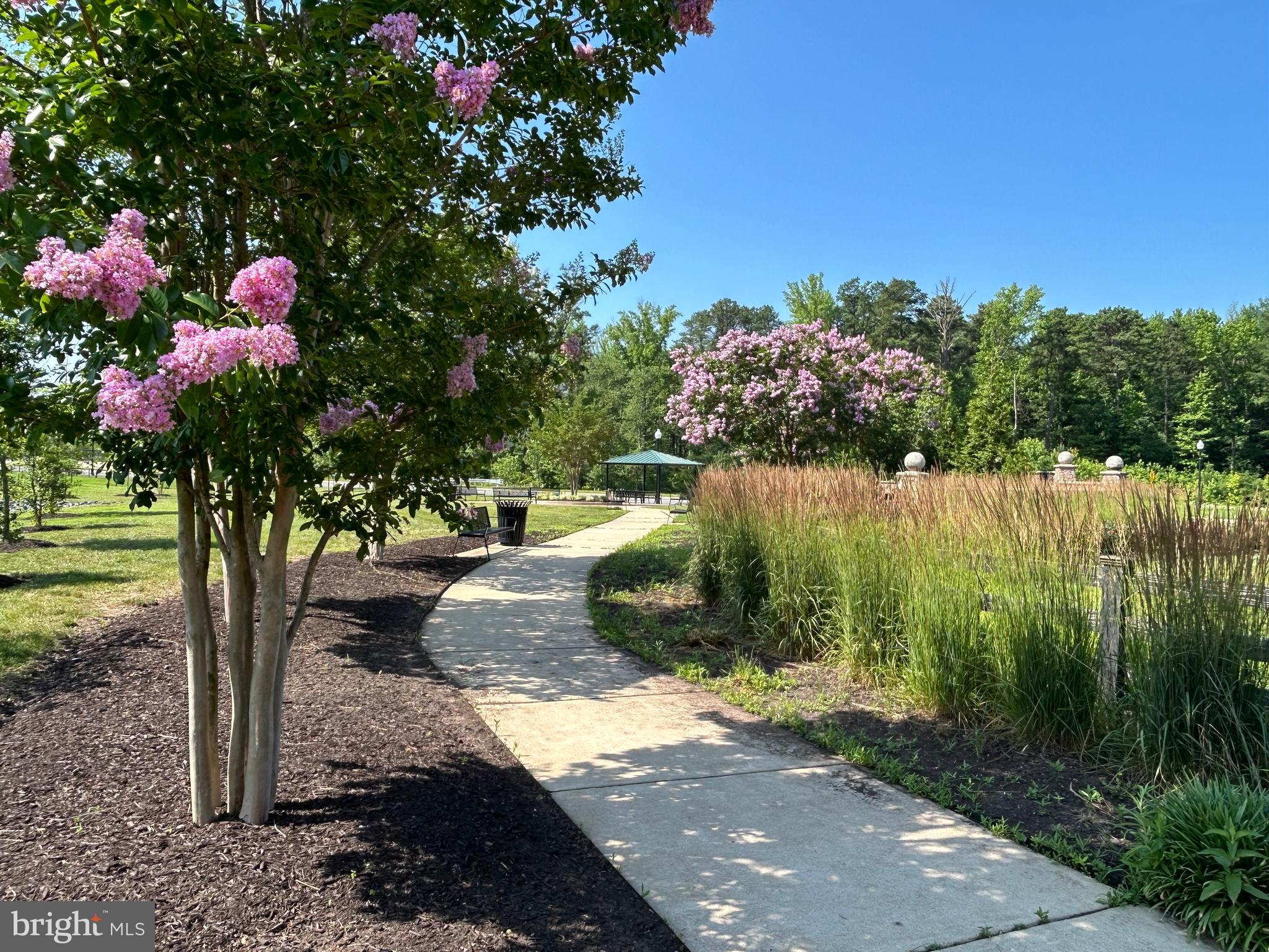 ODENTON TOWN CENTER - Residential