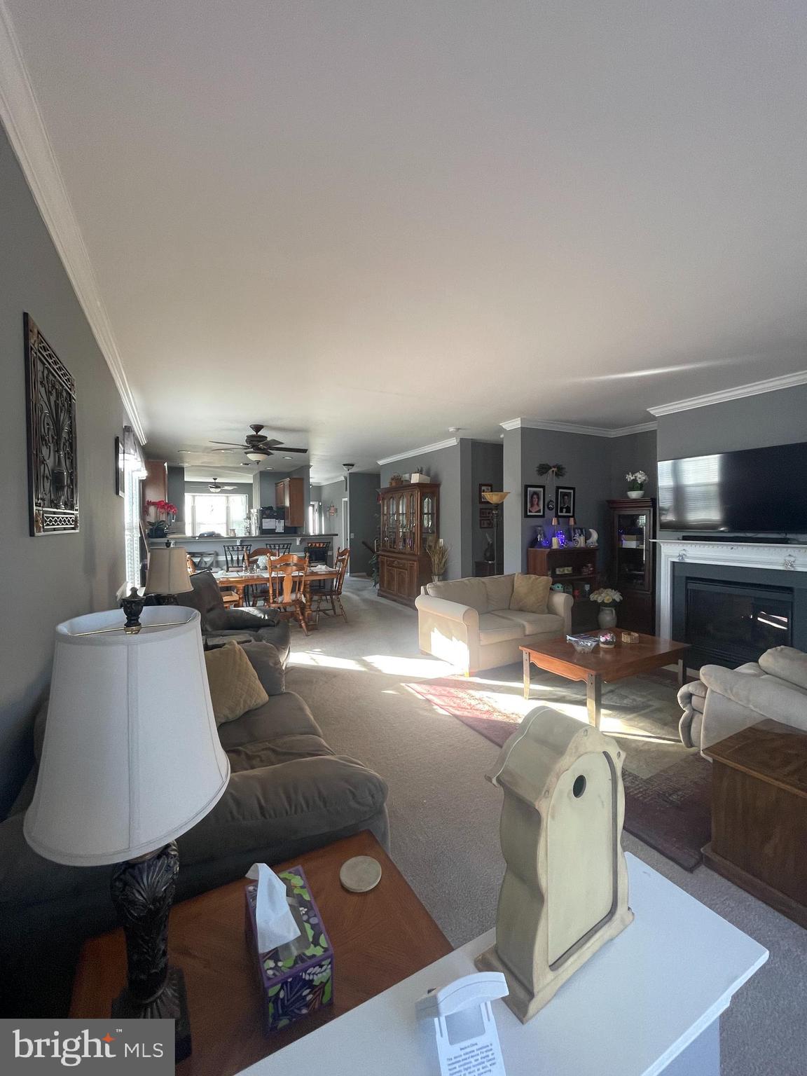 FOUR SEASONS AT HISTORIC VA - Residential