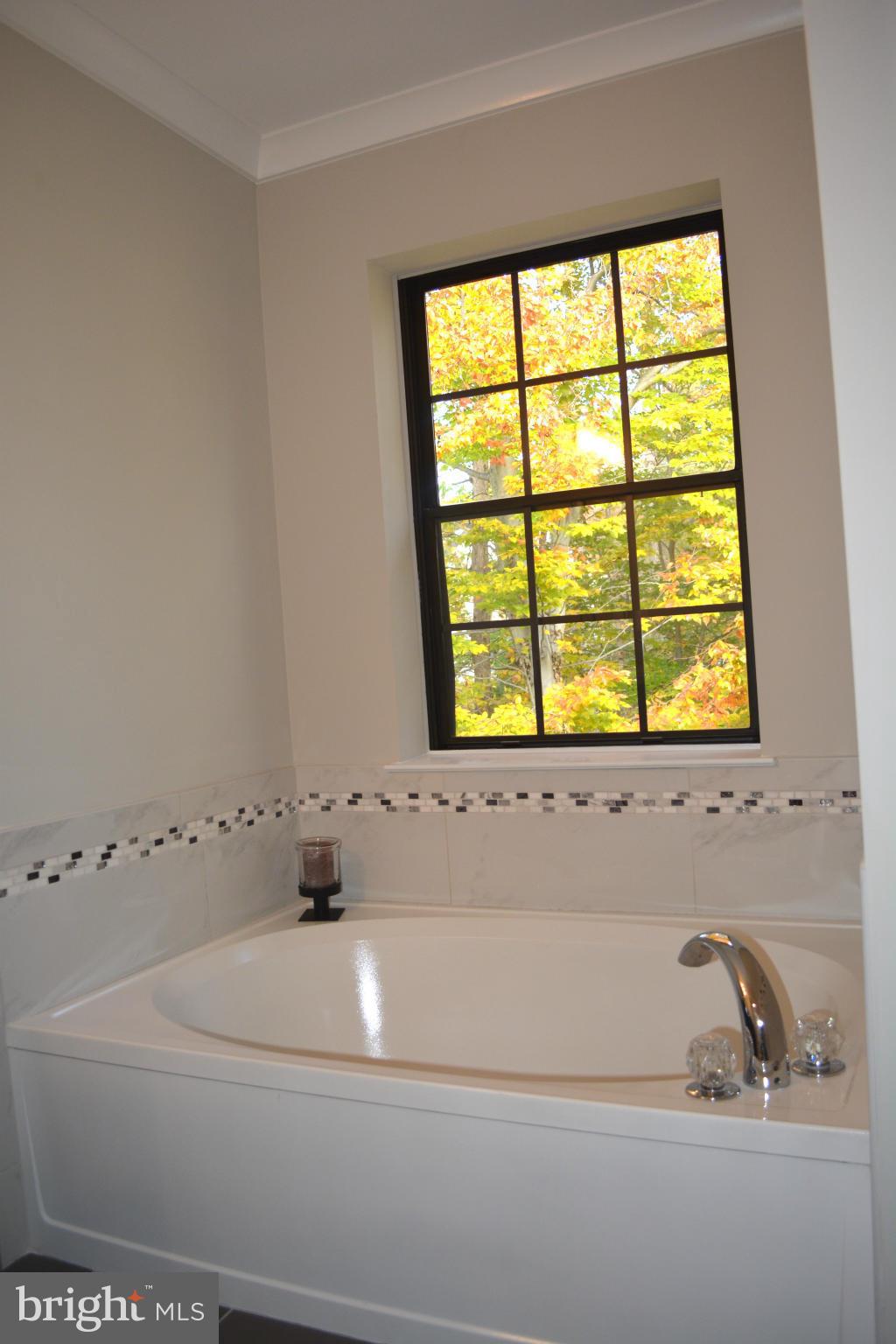 SPRINGFIELD OAKS - Residential