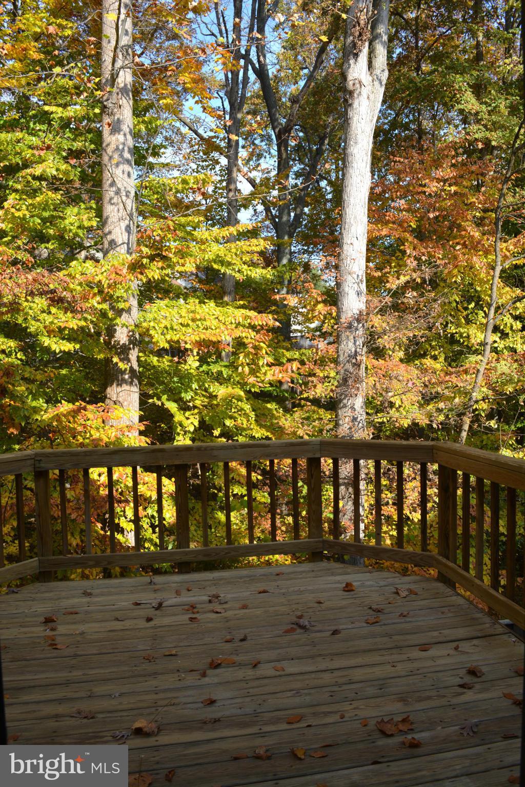 SPRINGFIELD OAKS - Residential