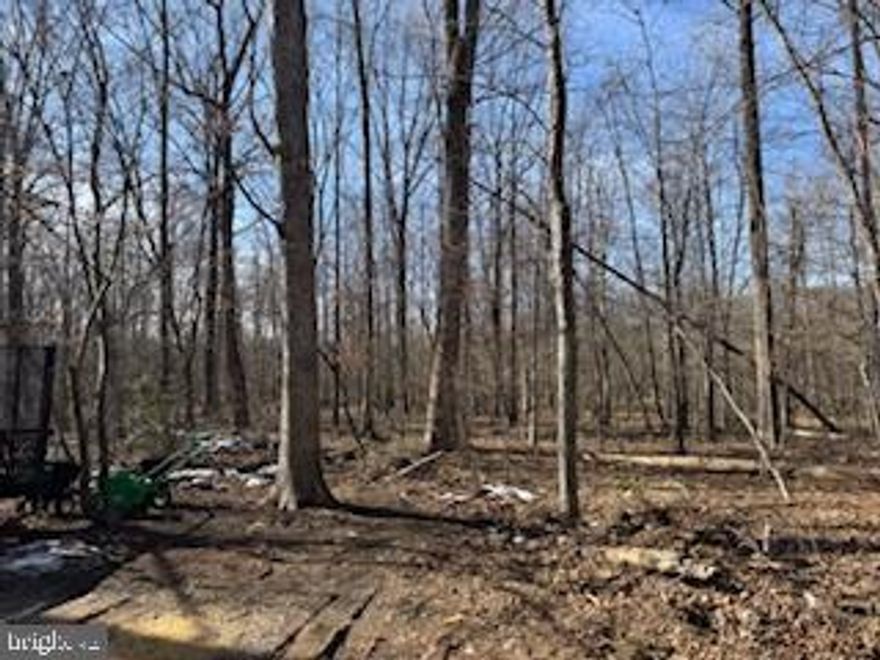 Most of this property was declared in 100-year flood zone,  It has been untouched for several years and has maintained it's natural state. It has potential to be used a a recreation area and for other non-residential activities. Loudoun County has approved plans to blacktop Lake Drive.