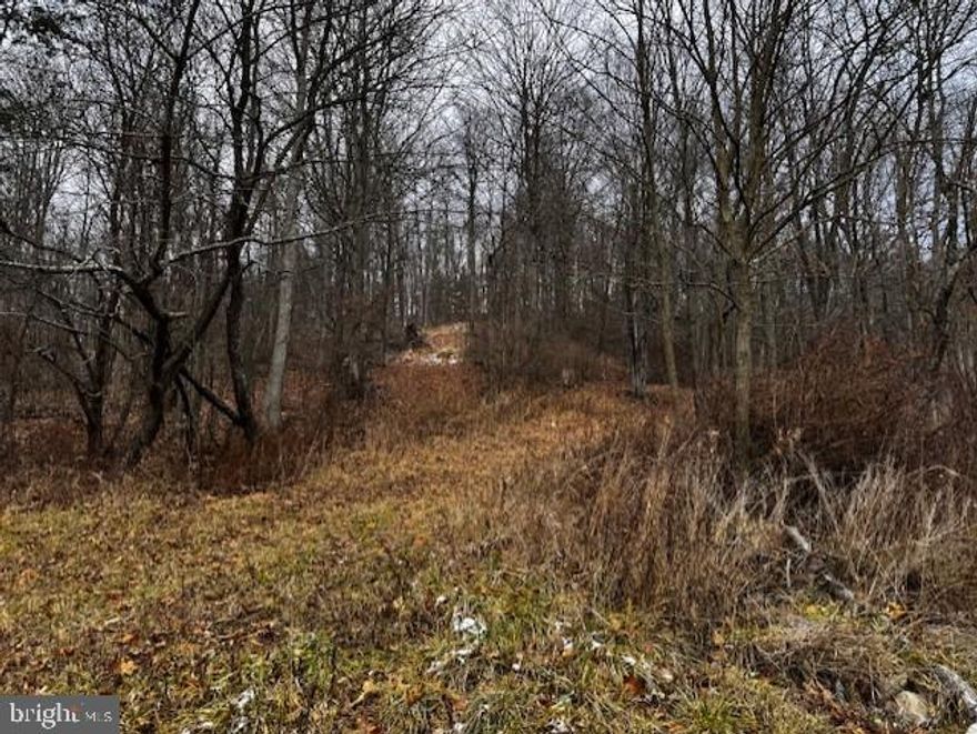 Discover the perfect canvas for your dream home on Buffalo Rd! This expansive 41+ acre property boasts breathtaking views, complete with electric, well, and septic already in place. The partly wooded landscape offers tranquility, while a level area provides an ideal spot to build your dream home. Although there's an old building on the property that is a tear down, envision the possibilities of creating your own haven in this scenic retreat. Seize the opportunity to turn this picturesque parcel into whatever you want!  Property is in Clean & Green