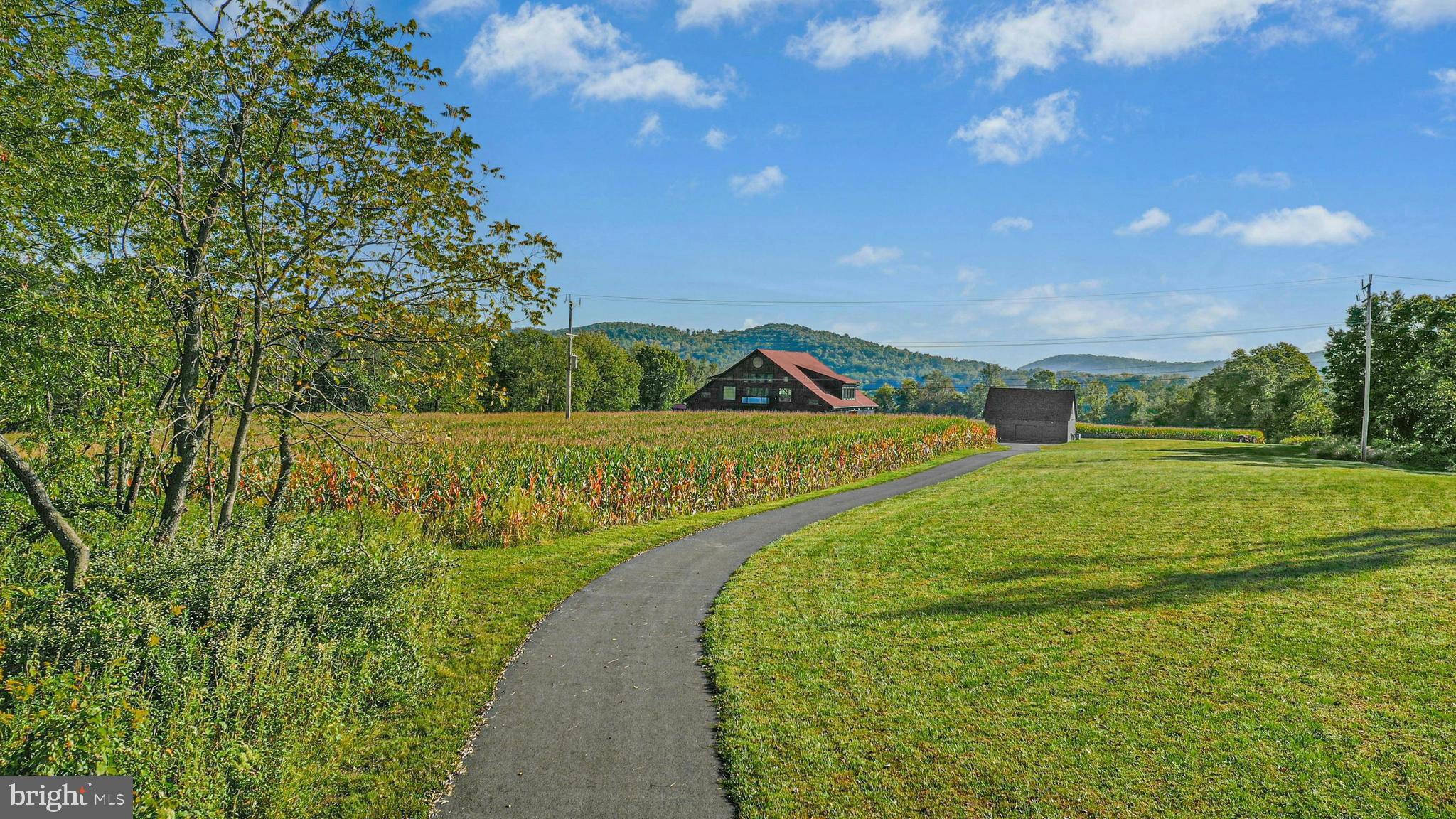 820 SPRING HILL ROAD