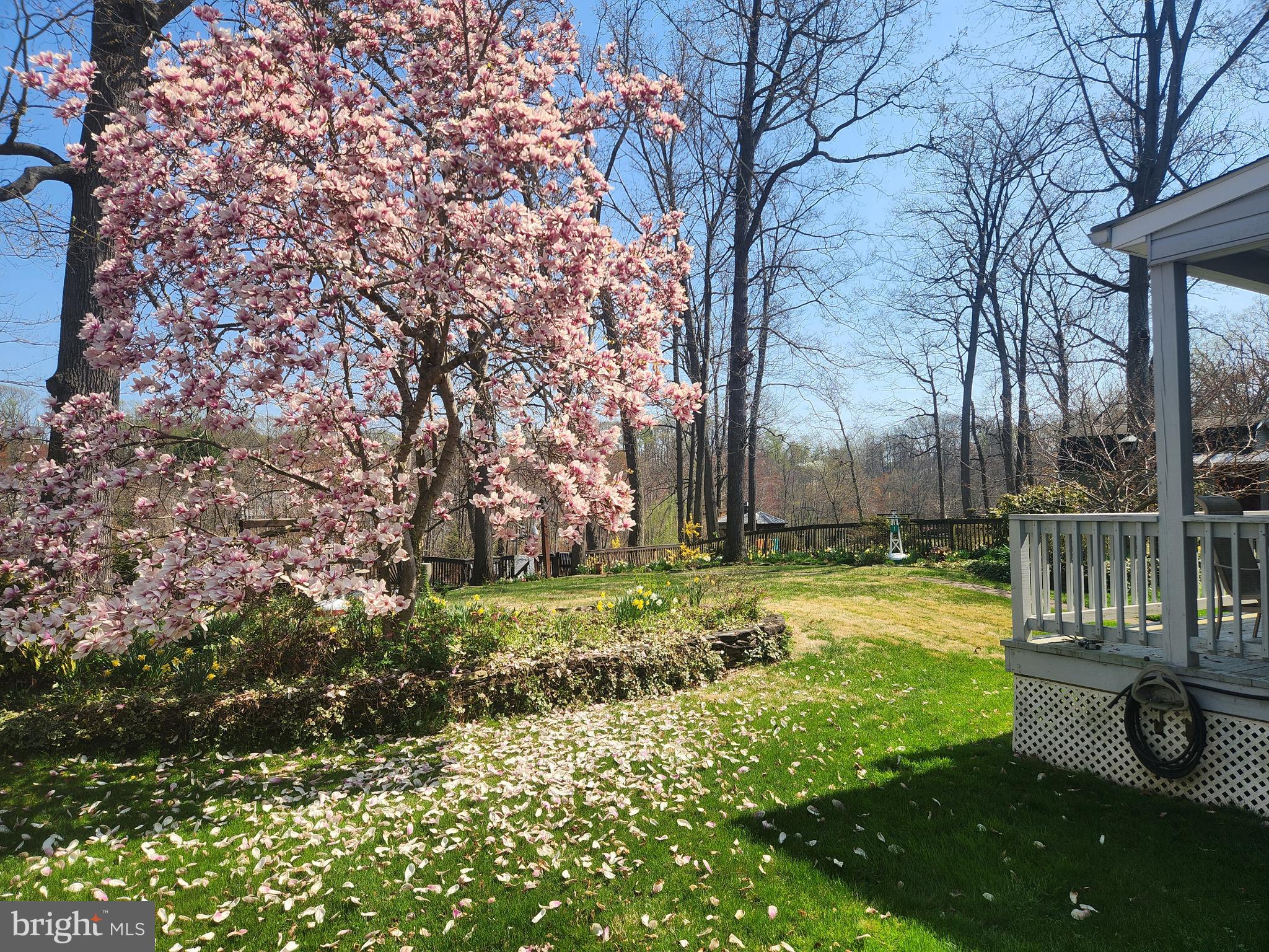 JOPPATOWNE - Residential