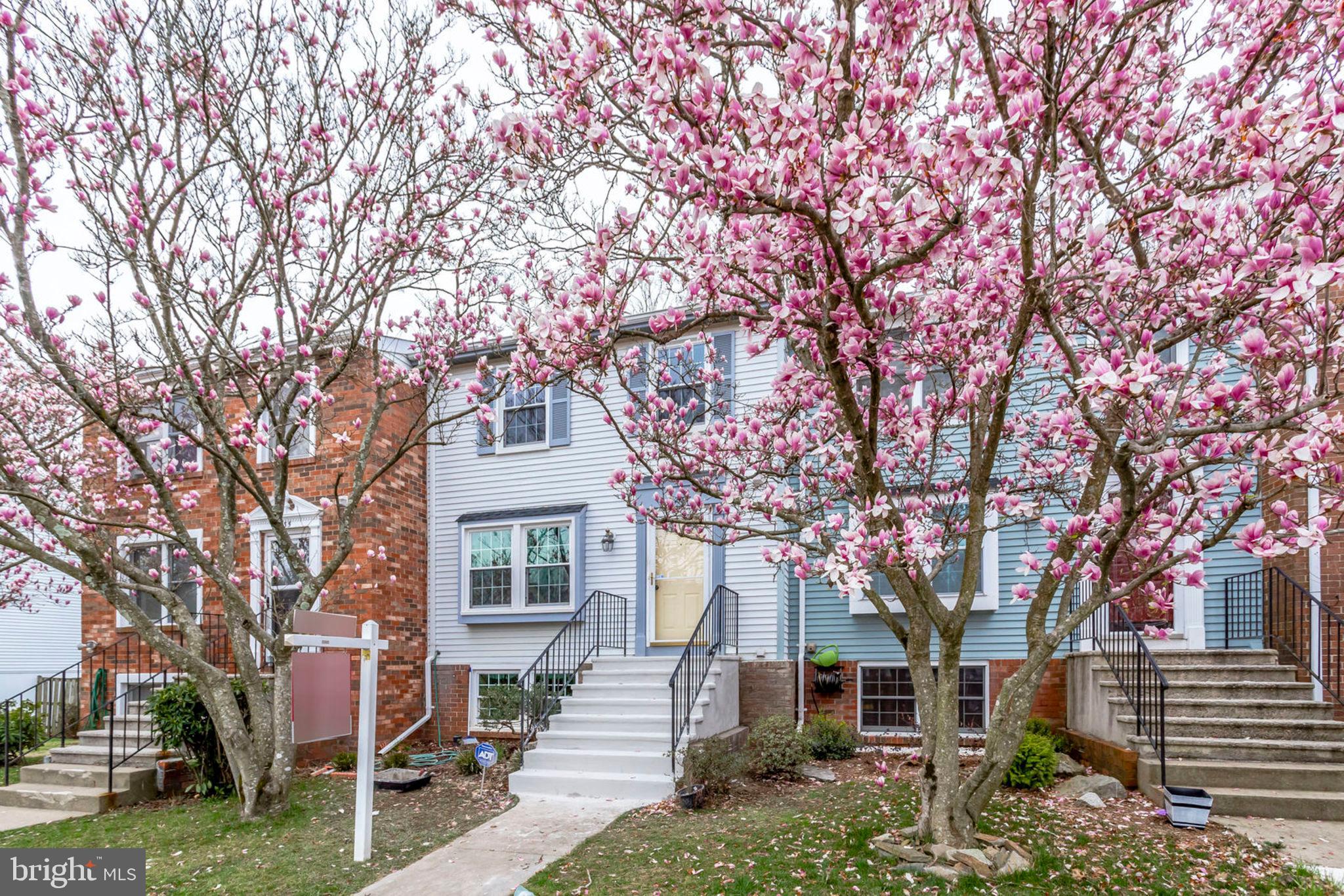 TARTAN VILLAGE - Residential