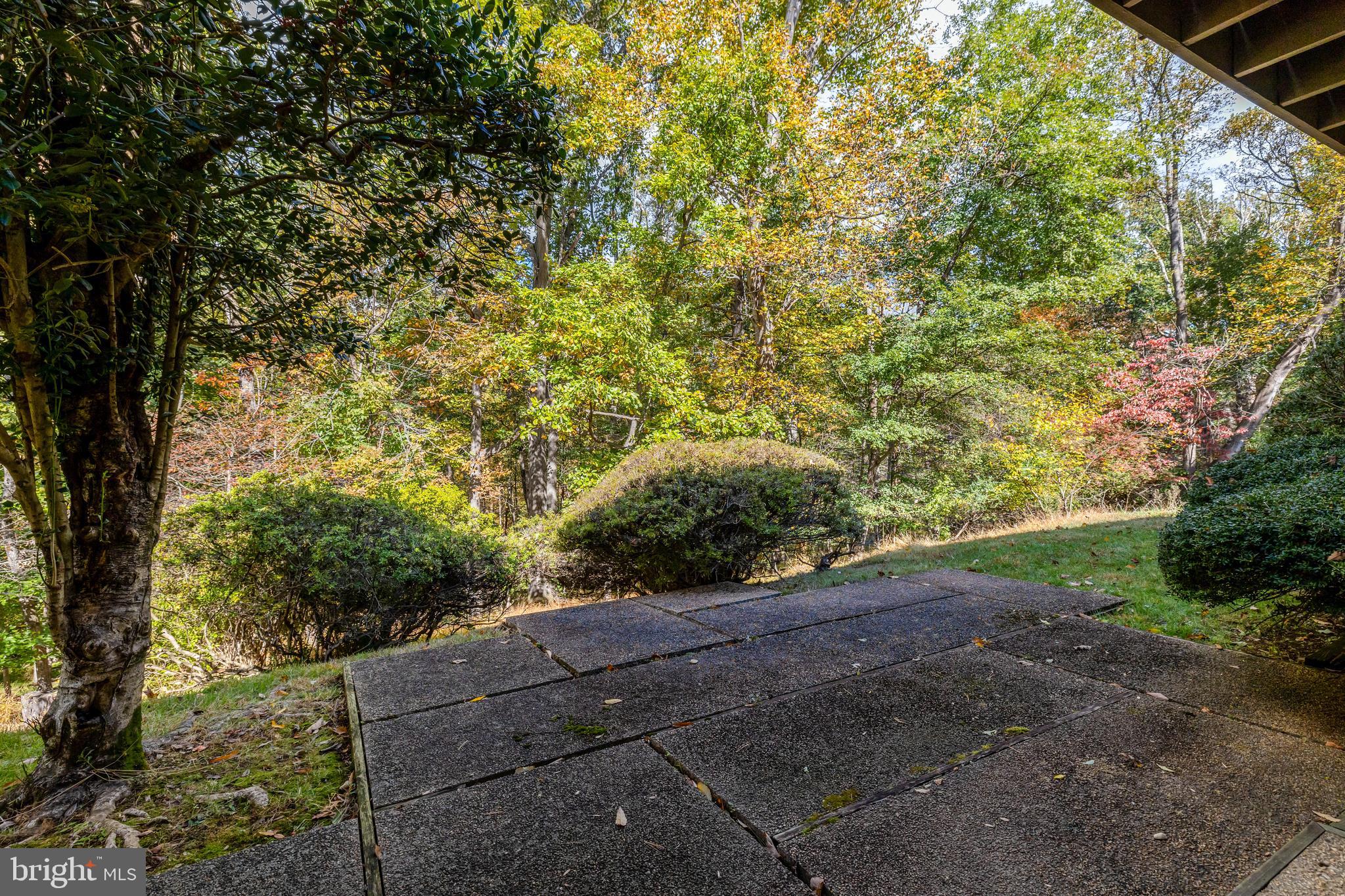 WOLF TRAP WOODS - Residential