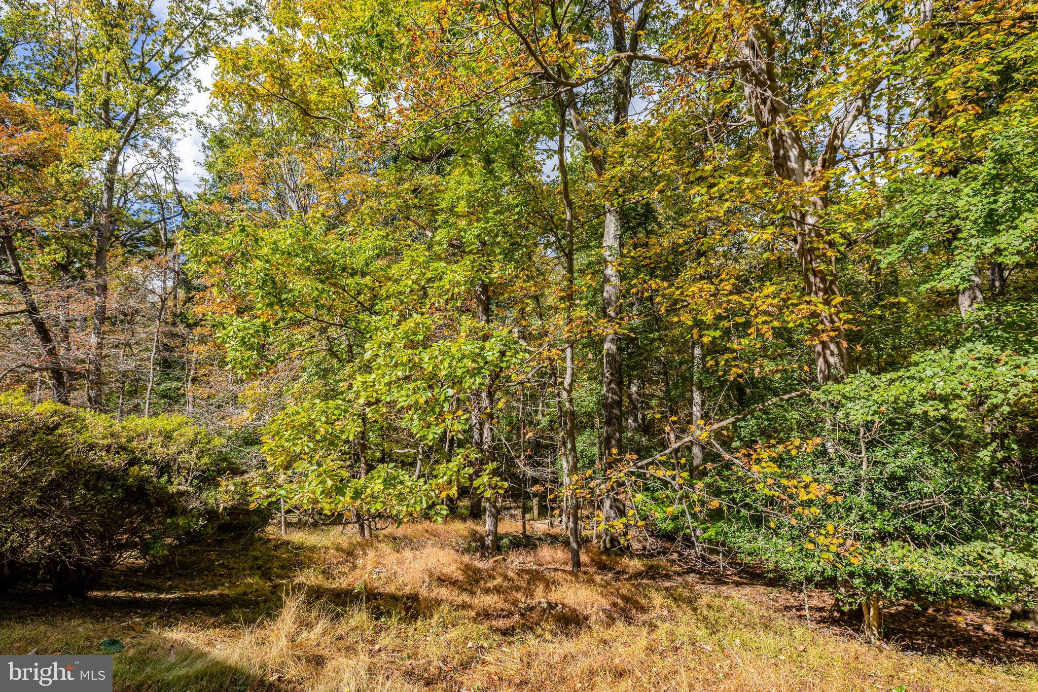 WOLF TRAP WOODS - Residential