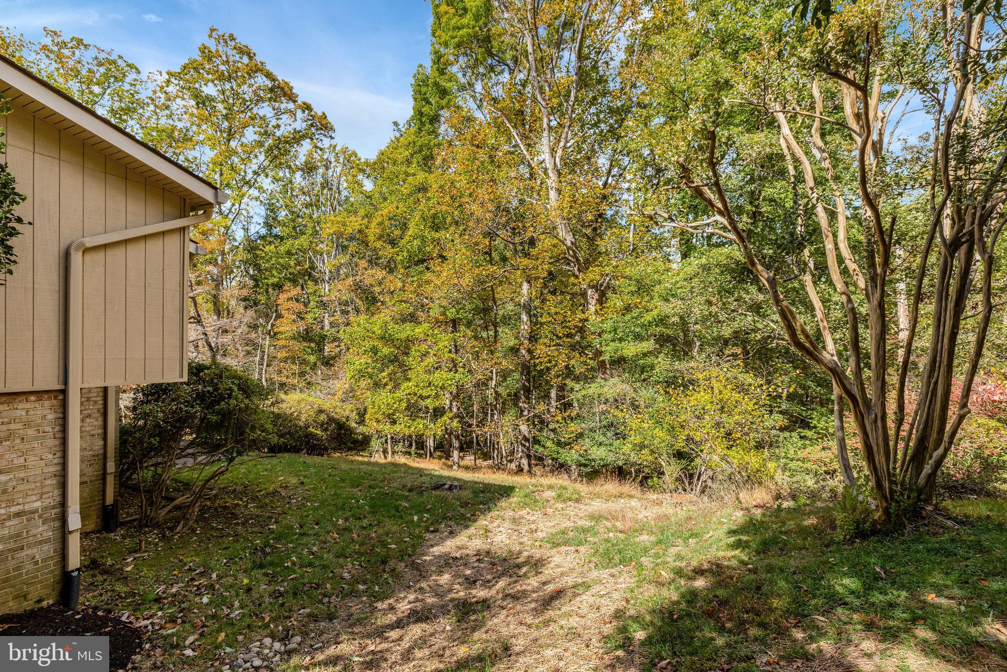 WOLF TRAP WOODS - Residential