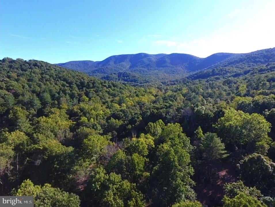51 GOONEY MANOR LOOP