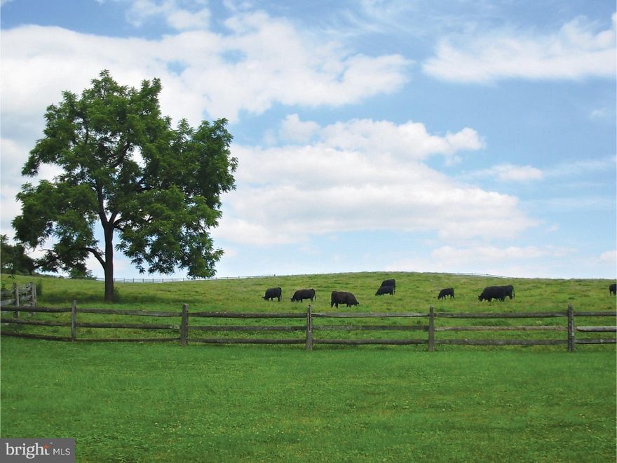 Permits in Progress and Ready for Your Selections!  This Shingle Style Berkeley is situated on one of our premier homesites (Lot 3) on Ivy Lane at Ardrossan Farms.  The Berkeley floor plan with 5 bedrooms and open floor plan concept offers the perfect opportunity to customize your dream home with the well-respected Pohlig Builders.  Located just off Newtown Road at the notable stone water tower, the enclave neighborhood of Ivy Lane is set apart with a unique streetscape including brick-paver sidewalks, cobblestone curbs, vintage streetlights, street trees, post lights, and front walks along.    Base prices starting at $1.995M for the Bancroft floor plan.   Lot premiums will apply. Photos and elevations may show optional features not included at Base Price.