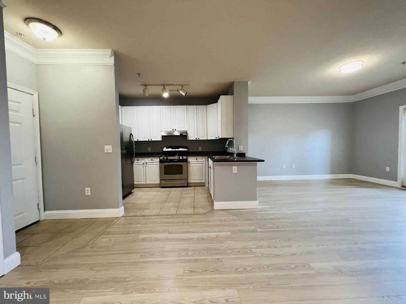 FITZ AT ROCKVILLE TOWN C - Residential