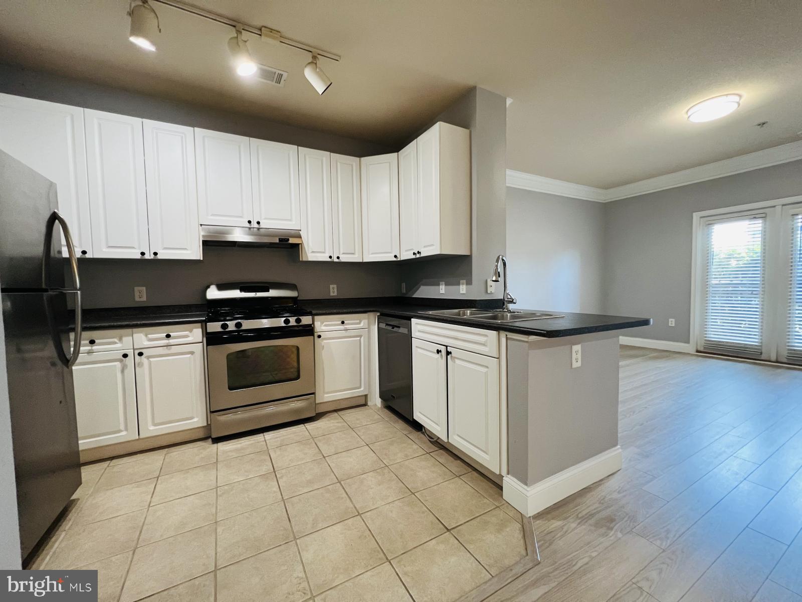 FITZ AT ROCKVILLE TOWN C - Residential