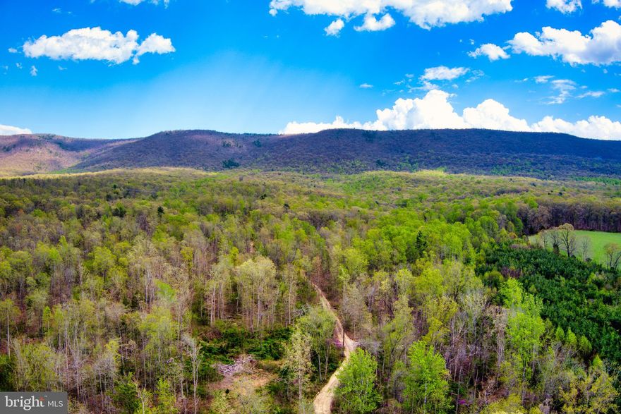HUGE price reduction!  If you are looking for privacy that is still close to town, mountain views, a mountain stream with quiet woods and wildlife, you have found it.  This property consists of 250 wooded acres with numerous house sites cleared by the Seller.  The Seller has a conventional septic perc.  New roads and fresh gravel make this large property easy to explore.   The Seller will consider selling this in 3 smaller parcels.  ***Shenandoah GIS does NOT correctly show the property lines or tax map numbers.  Use the new survey attached in the documents tab and in the pictures.***
Don't miss your opportunity to own this great piece of property!  This property is in FORESTRY LAND USE.
Tax Map# 81-A-150 is 37.724 acres and closest to the top of the mountain near National Forest.
Tax Map# 082-A-008A is 63.381 acres and is a square shape that is transected by the power line.
Tax Map# 082-A-008 is 147.994 acres and surrounds the 63 acre square parcel.