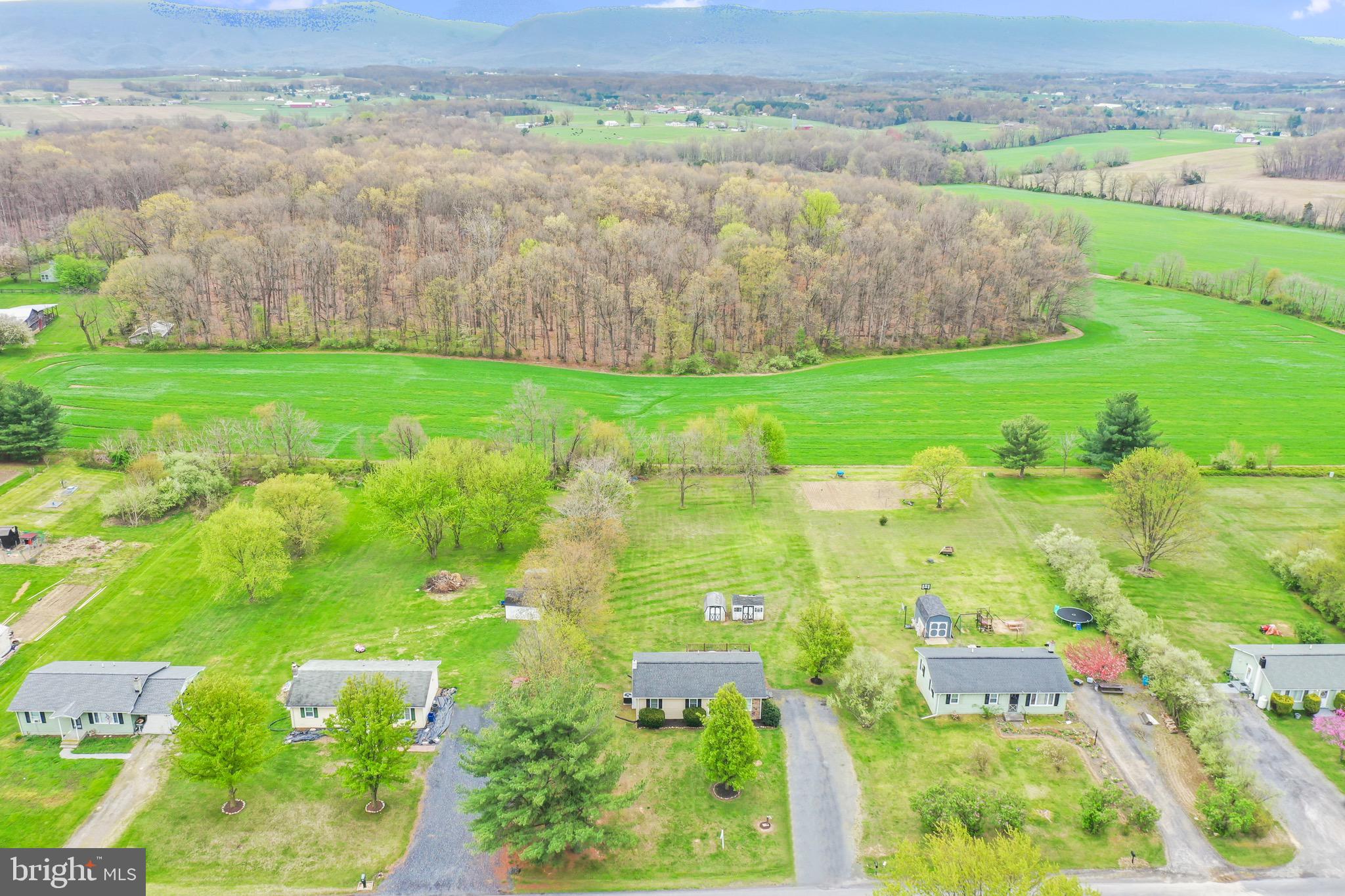 HOLLER - Residential