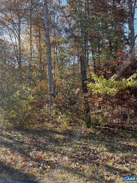 Vacant Land For Sale - 20 Chippewa Ln<br/> PALMYRA, VA 22963
