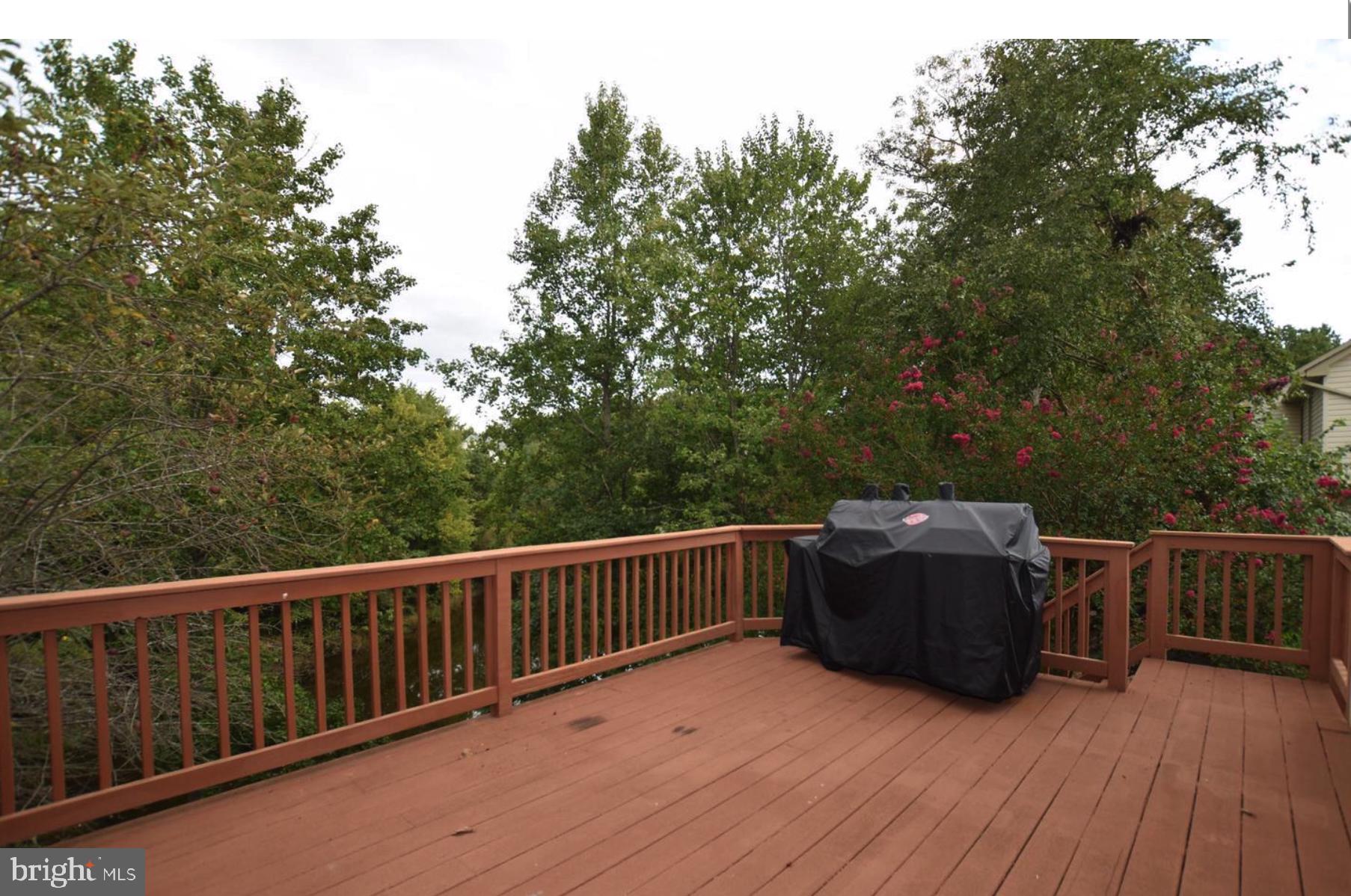 SPOTSYLVANIA COUNTY - Residential Lease