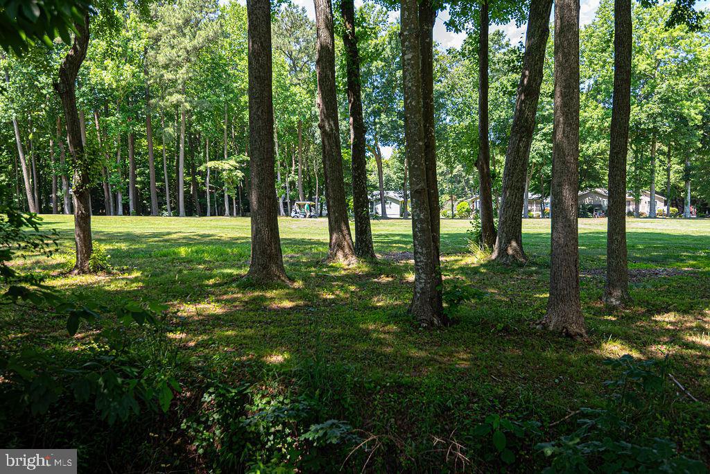 OCEAN PINES - INNERLINKS - Residential