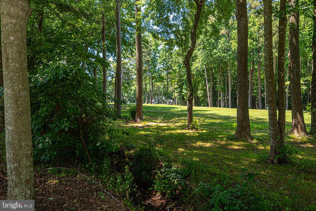 OCEAN PINES - INNERLINKS - Residential