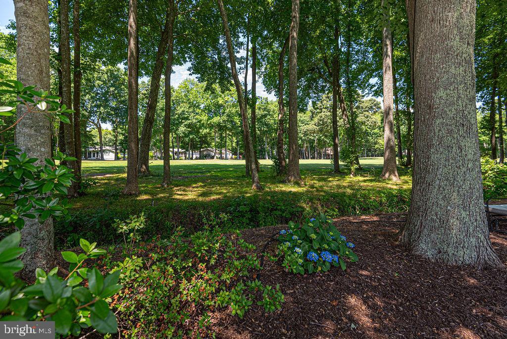 OCEAN PINES - INNERLINKS - Residential