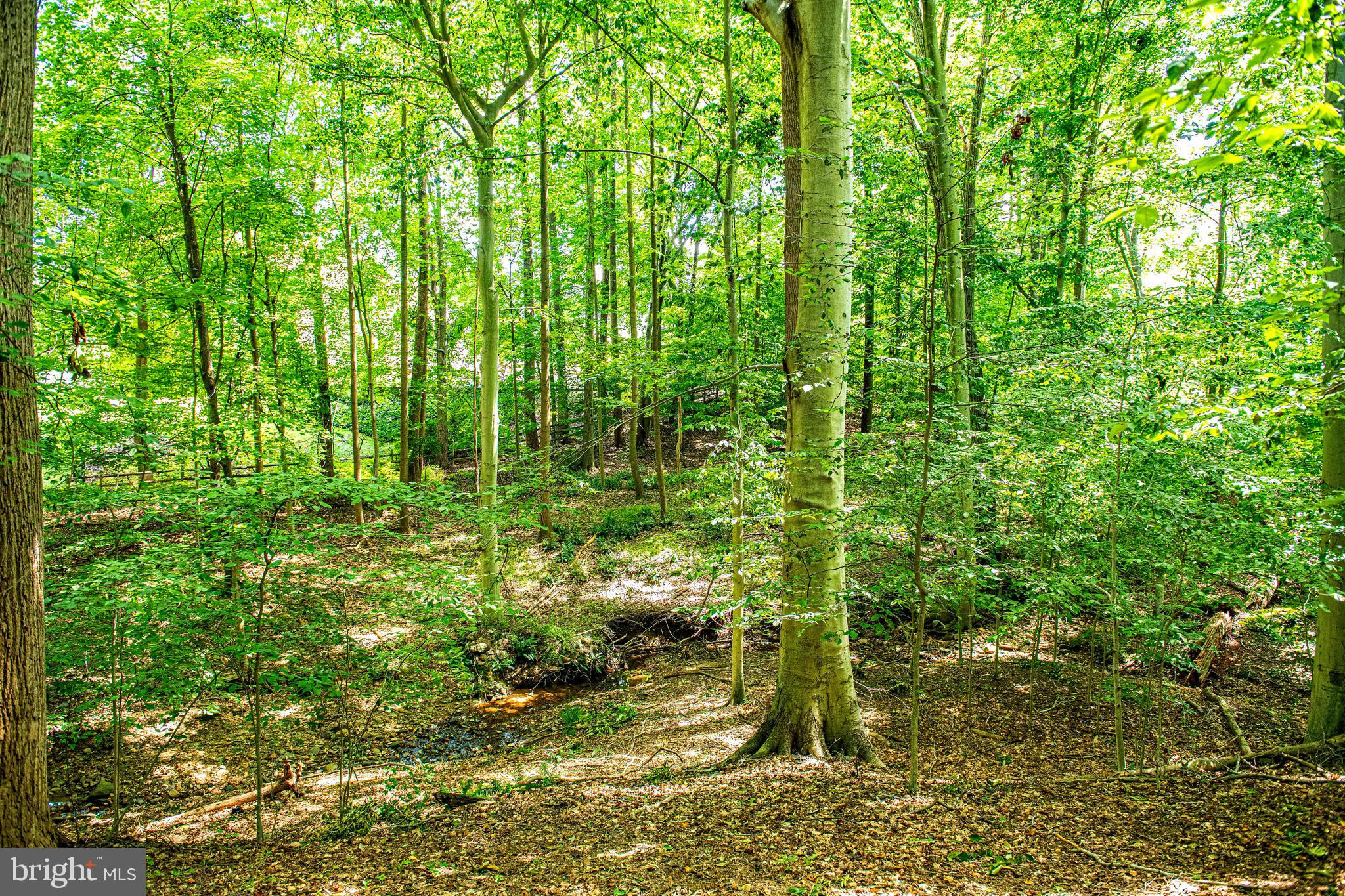 GLEN GATE - Residential