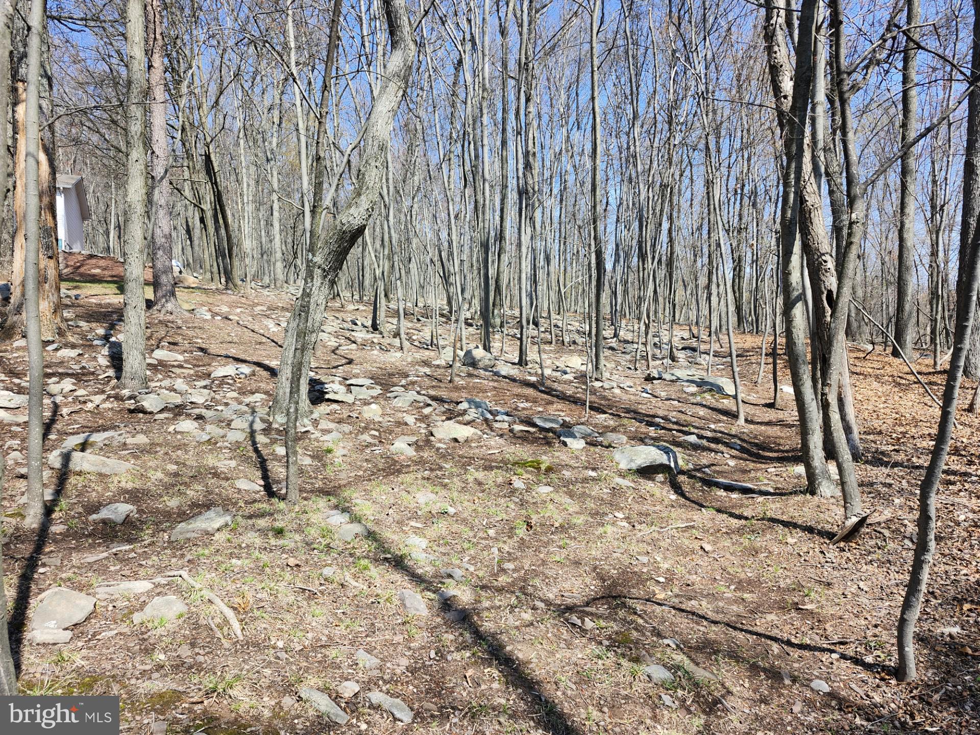 SOMERSET - Residential