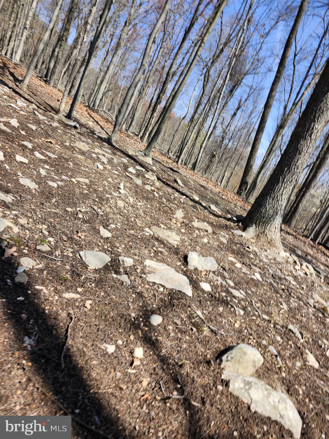 SOMERSET - Residential