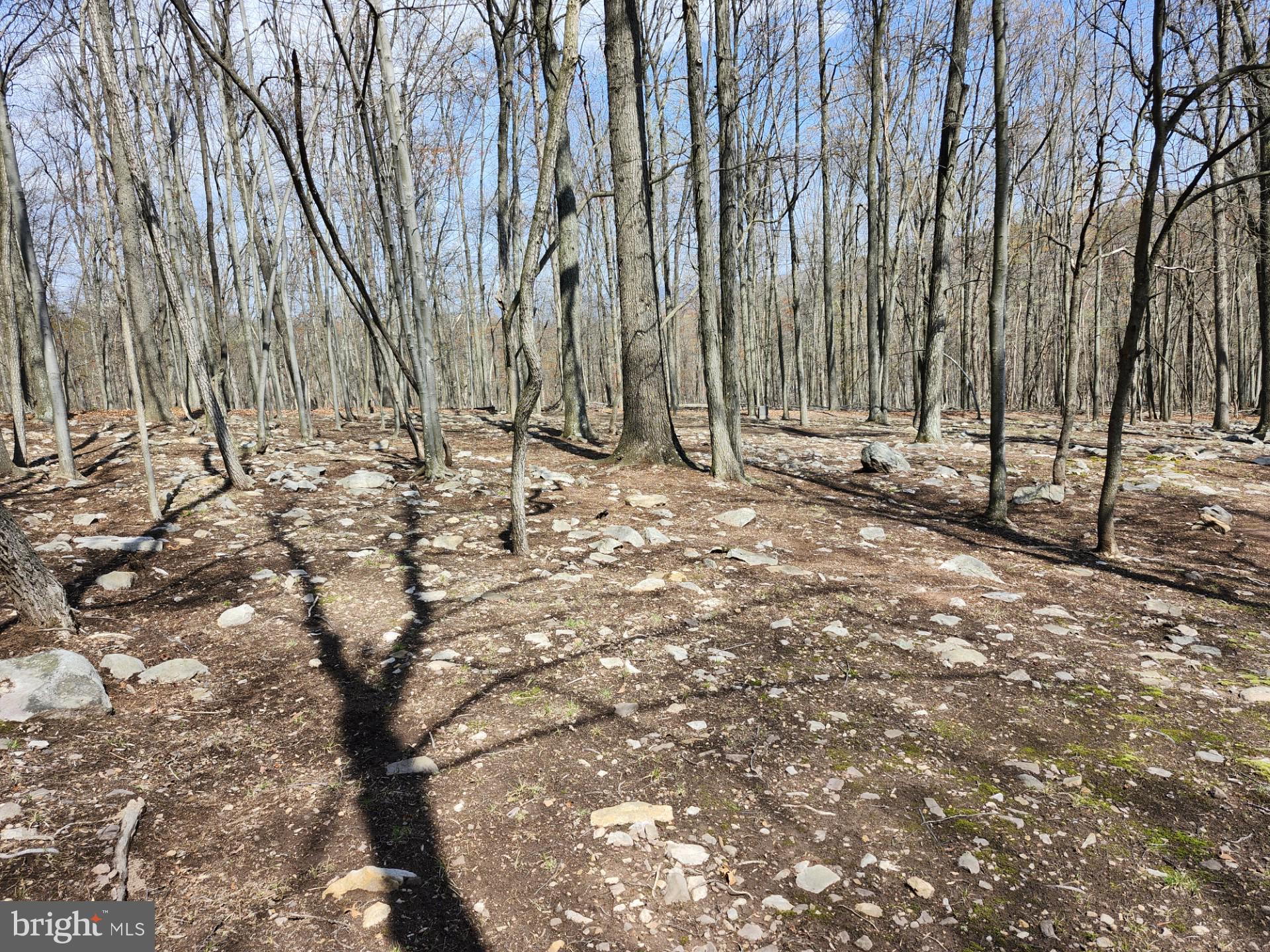 SOMERSET - Residential