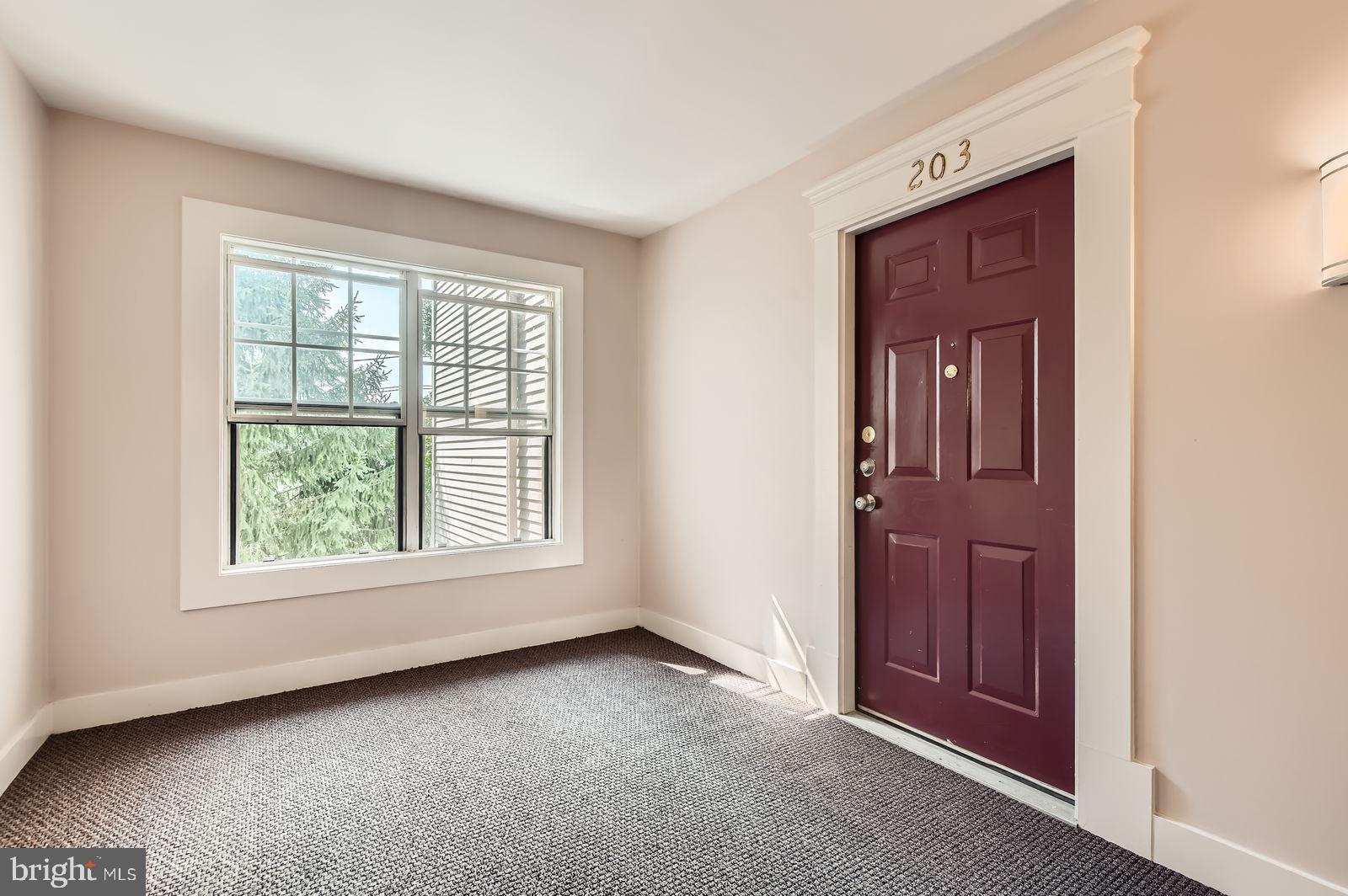 8813 STONE RIDGE CIRCLE 203
