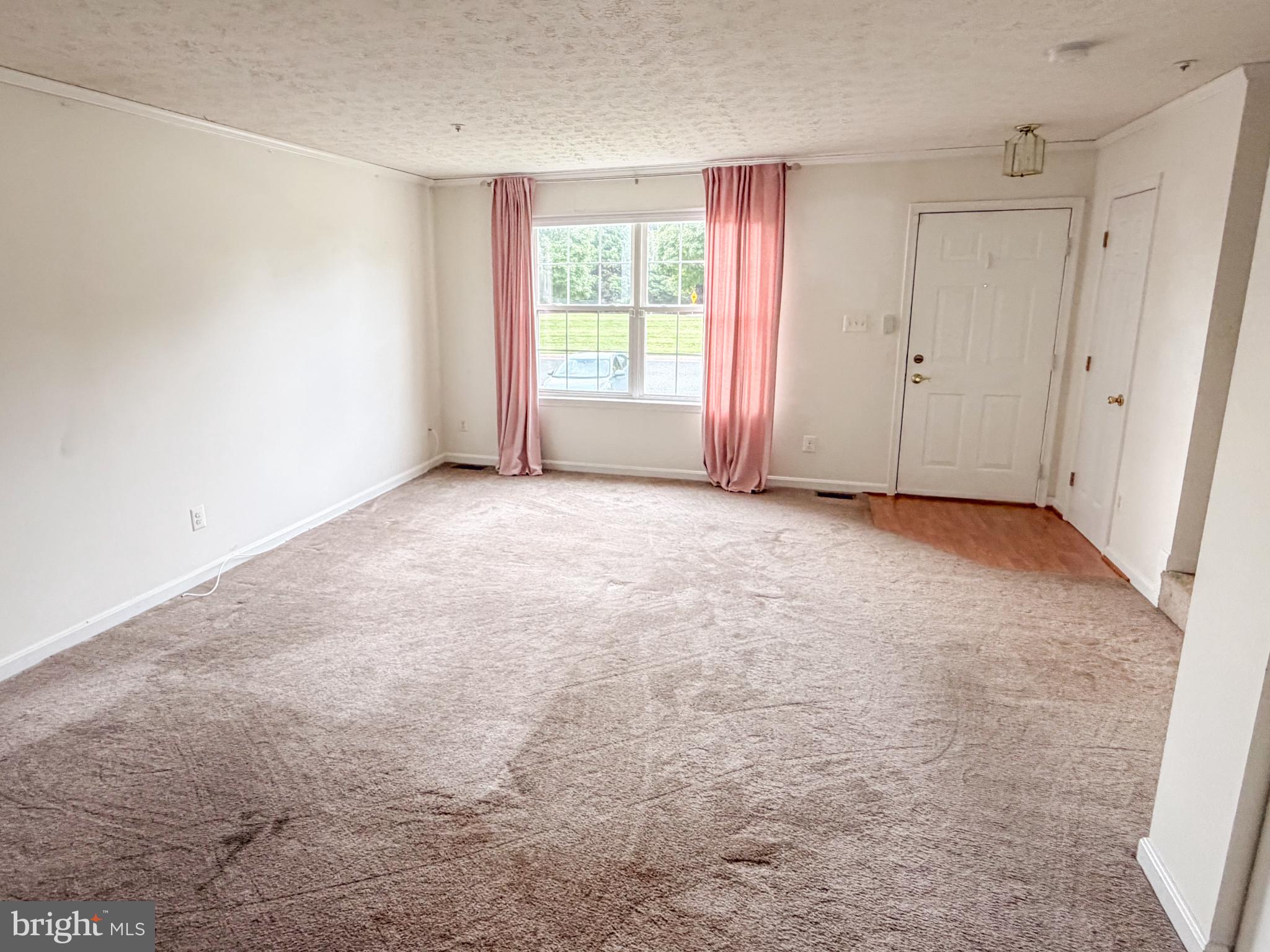 517 DOEFIELD COURT
