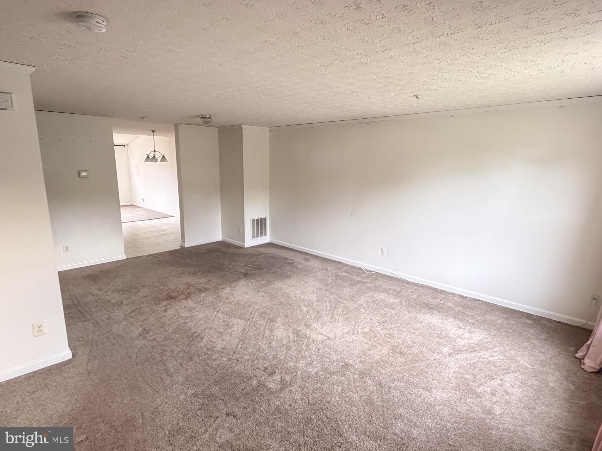 517 DOEFIELD COURT