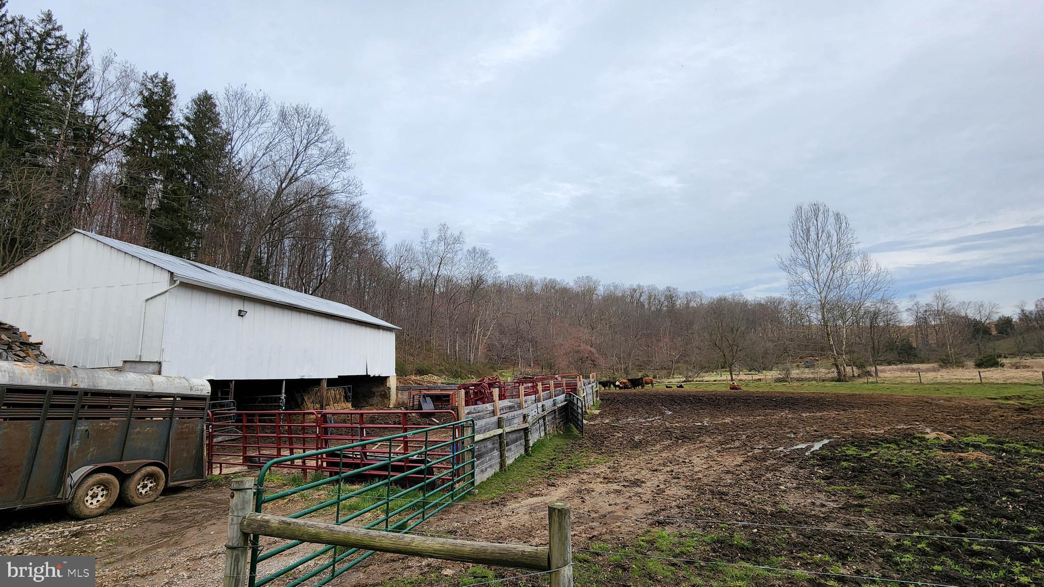 NONE AVAILABLE - Farm