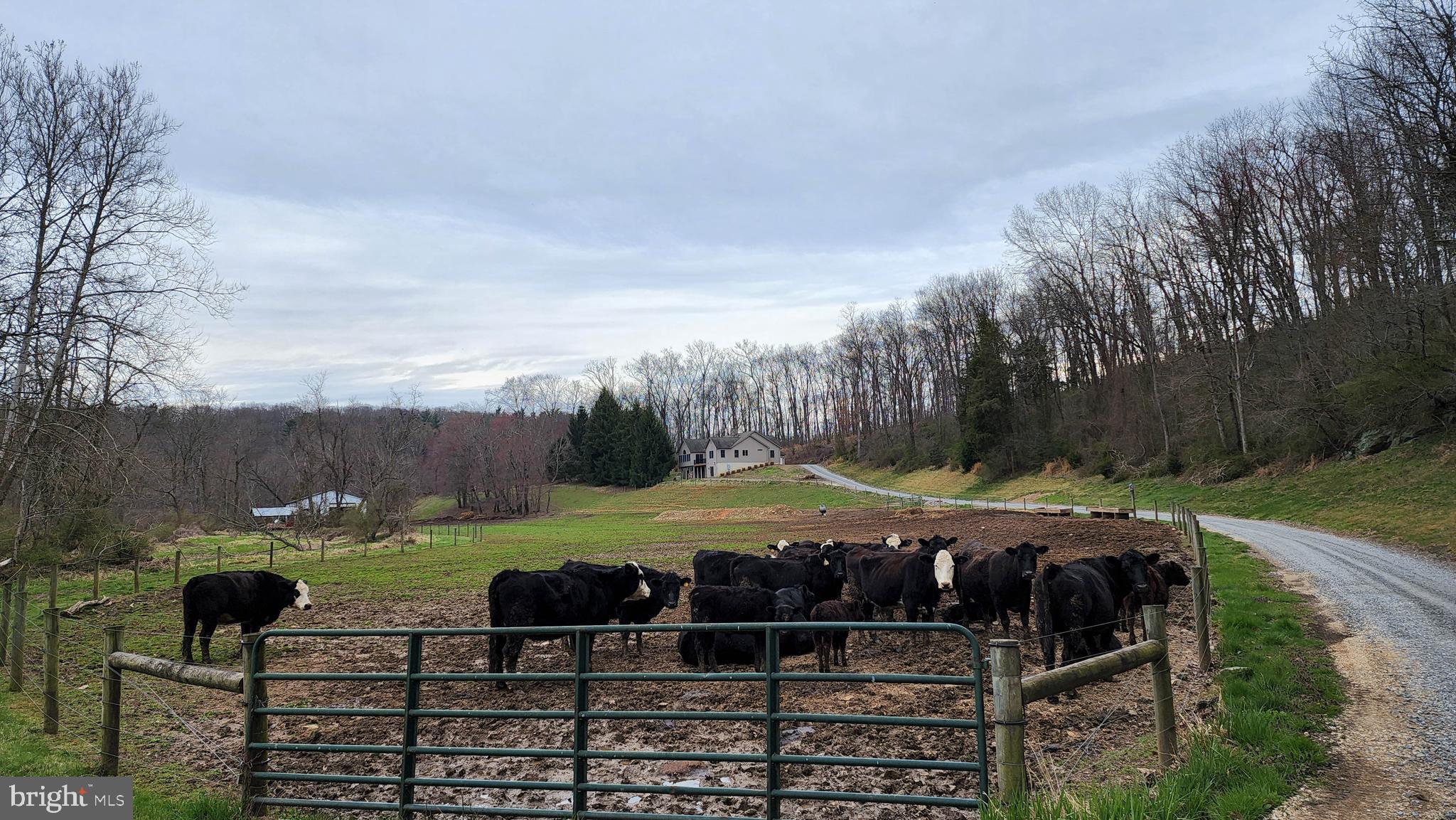 NONE AVAILABLE - Farm