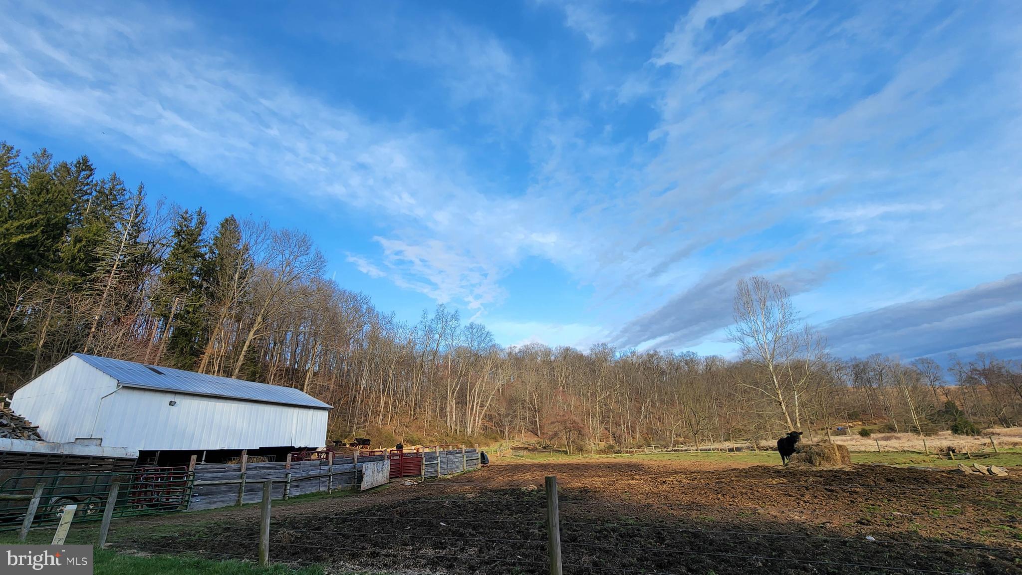 NONE AVAILABLE - Farm