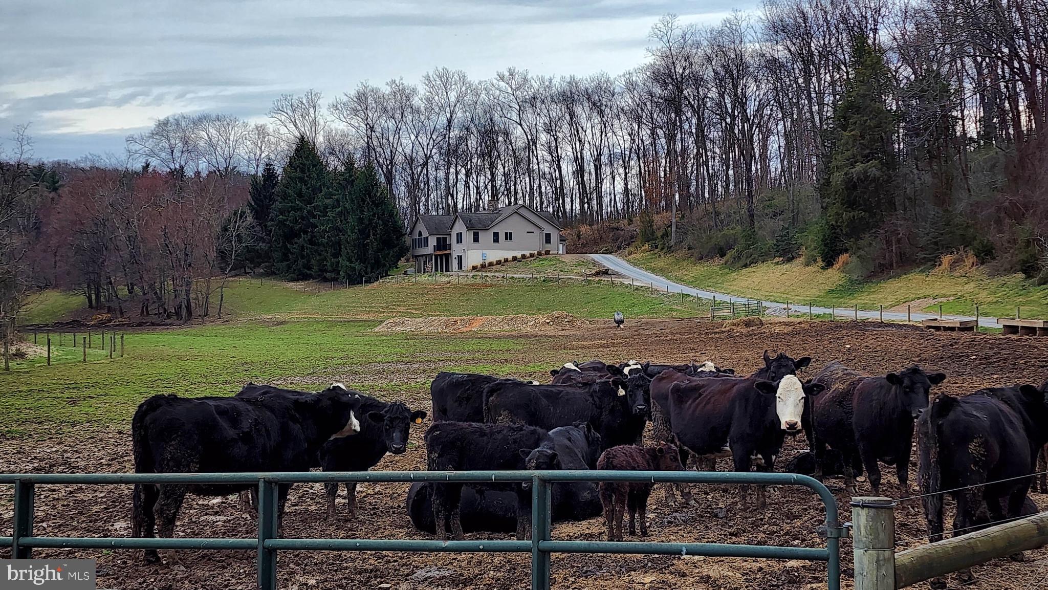 NONE AVAILABLE - Farm