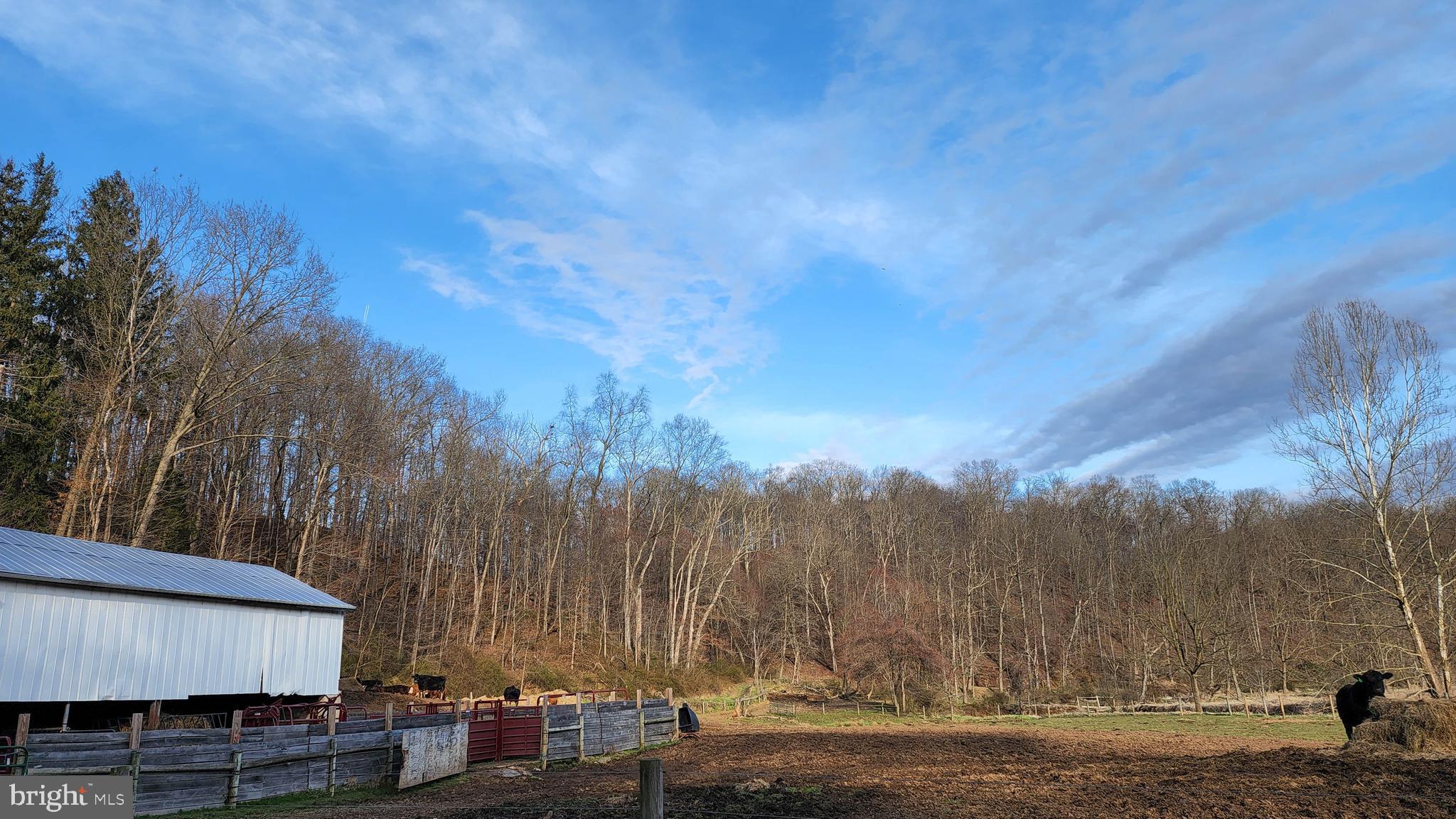 NONE AVAILABLE - Farm