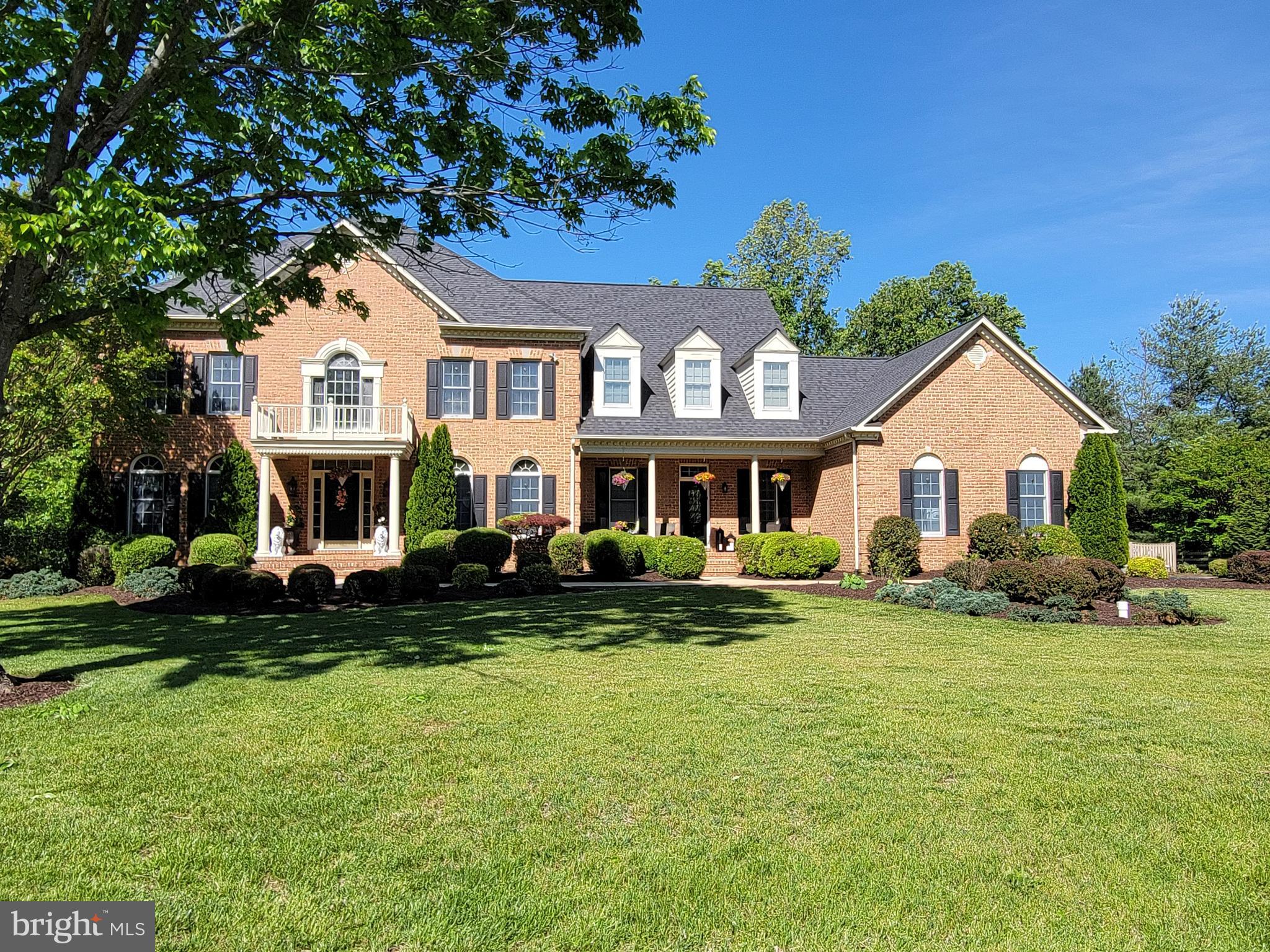 1203 SHELBY DALE LANE