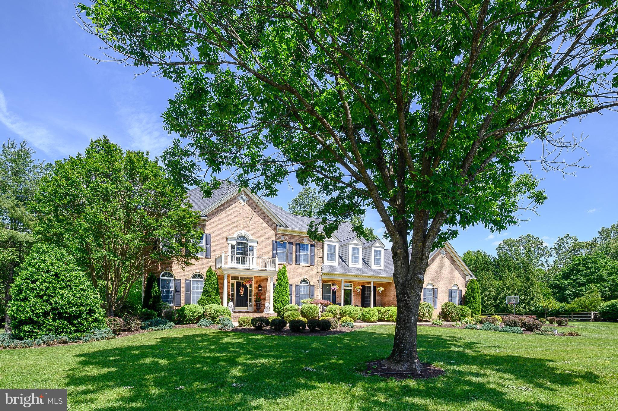 1203 SHELBY DALE LANE