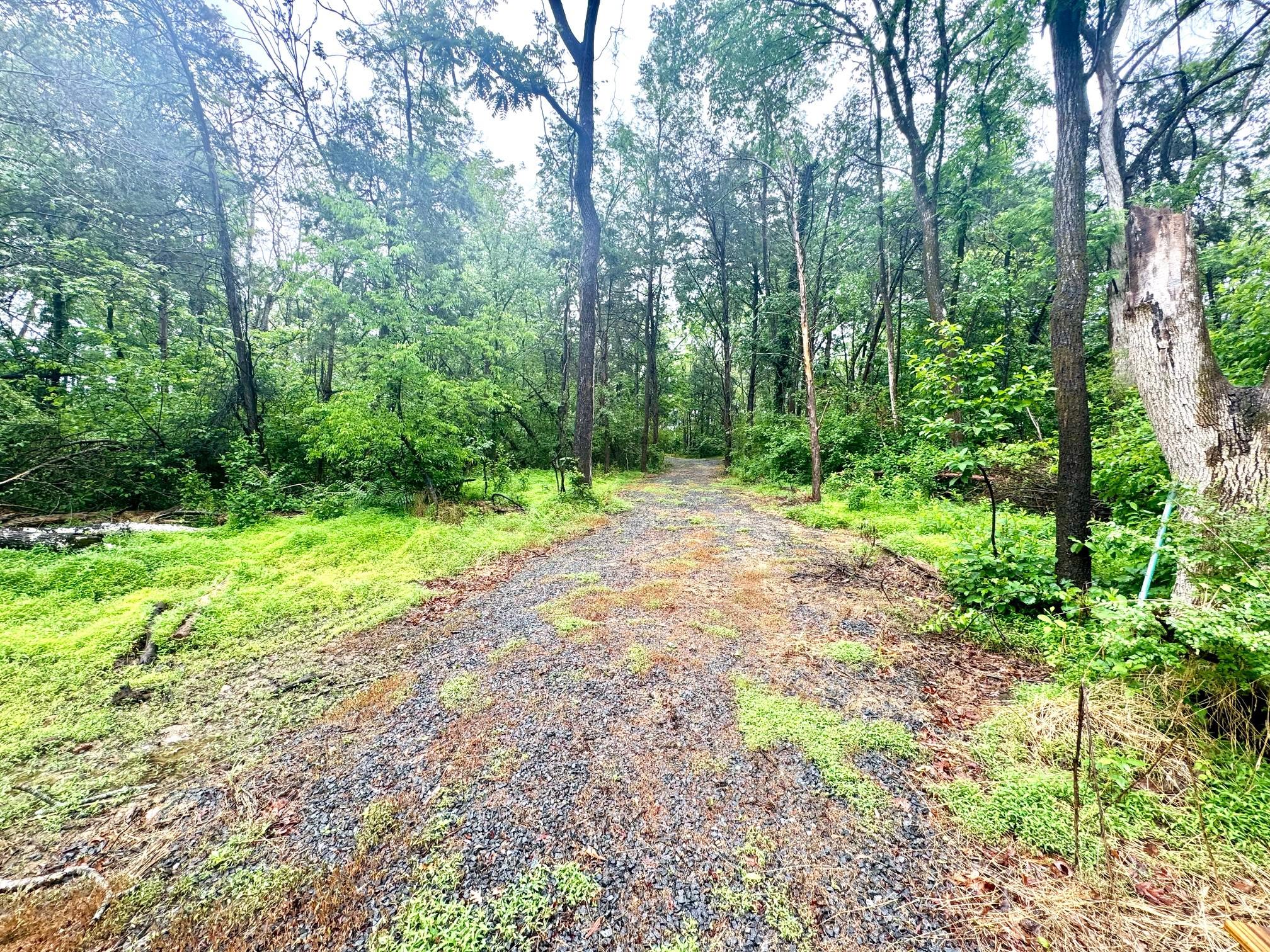 SLAUGHTERS MILL ROAD