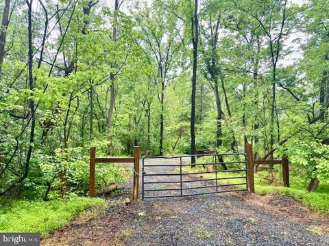 Vacant Land For Sale - Slaughters Mill Road<br/> Culpeper County, MITCHELLS, VA 22729