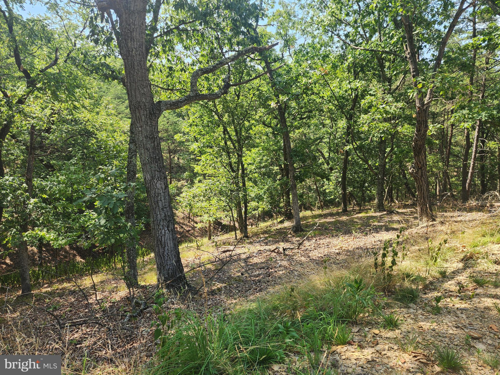 DEER RIDGE ESTATES - Land