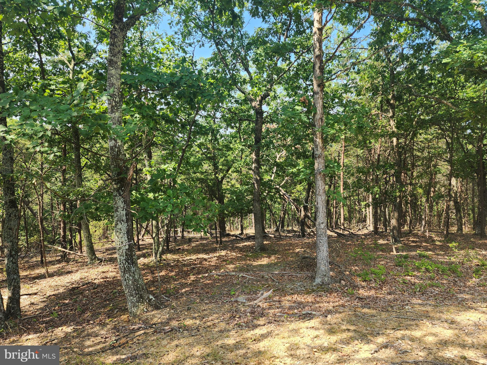 DEER RIDGE ESTATES - Land