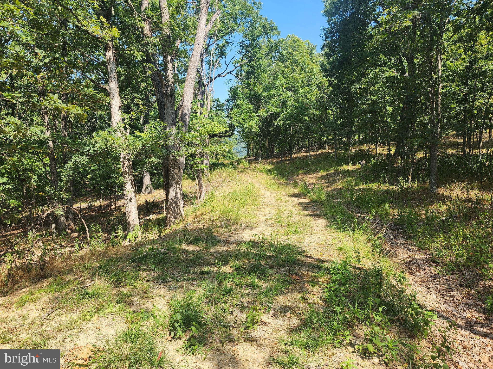 DEER RIDGE ESTATES - Land