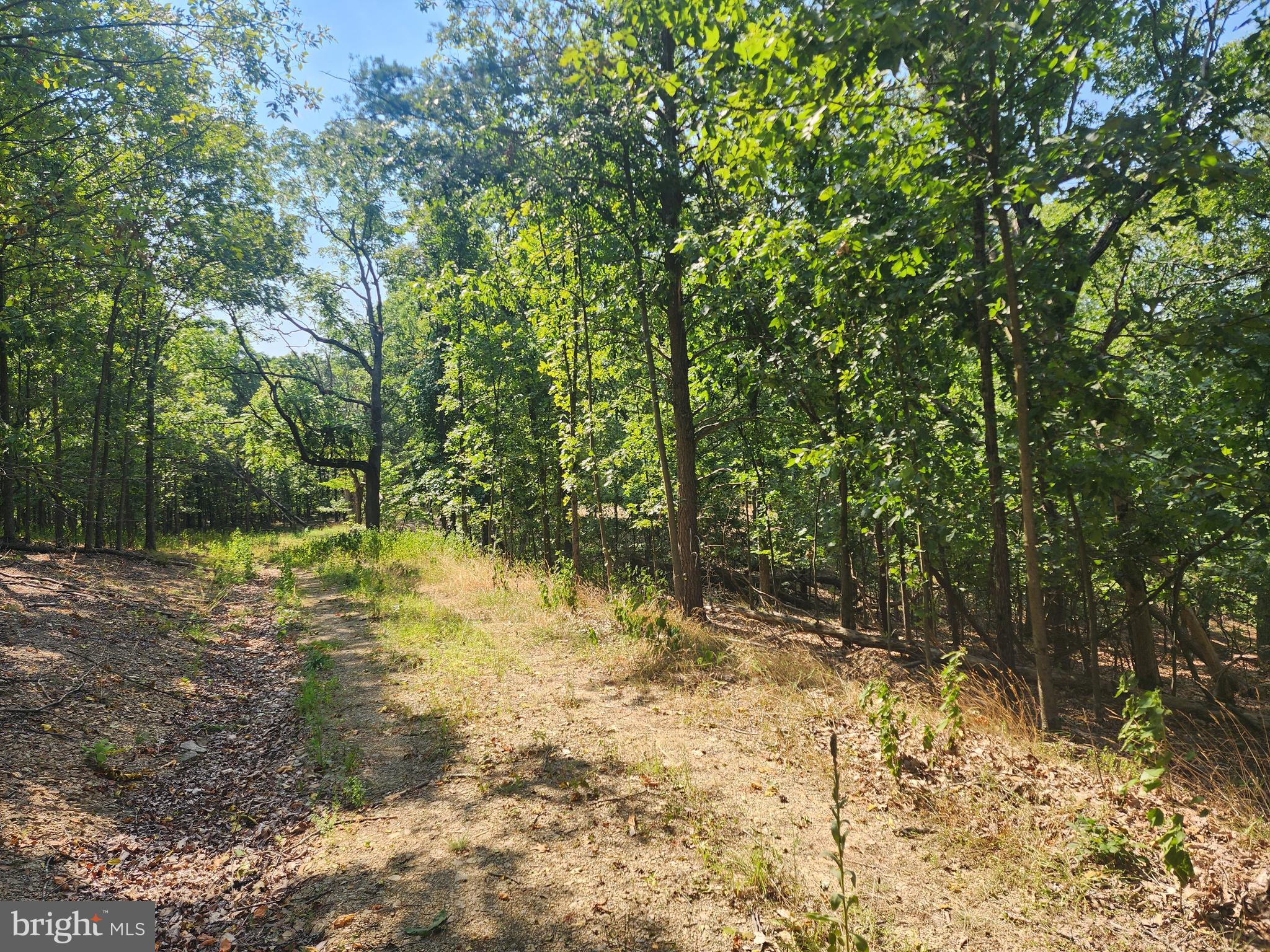 DEER RIDGE ESTATES - Land