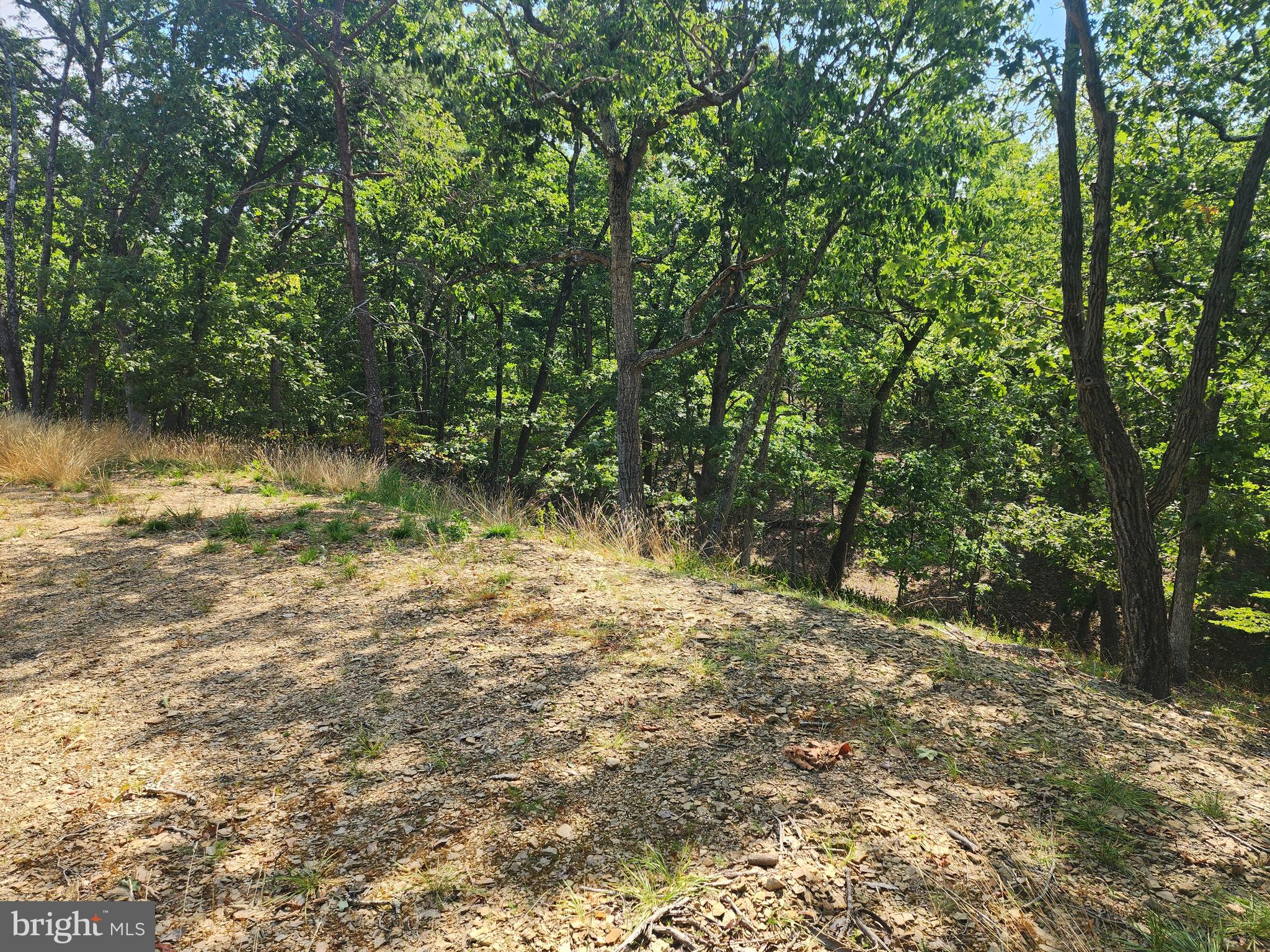 DEER RIDGE ESTATES - Land