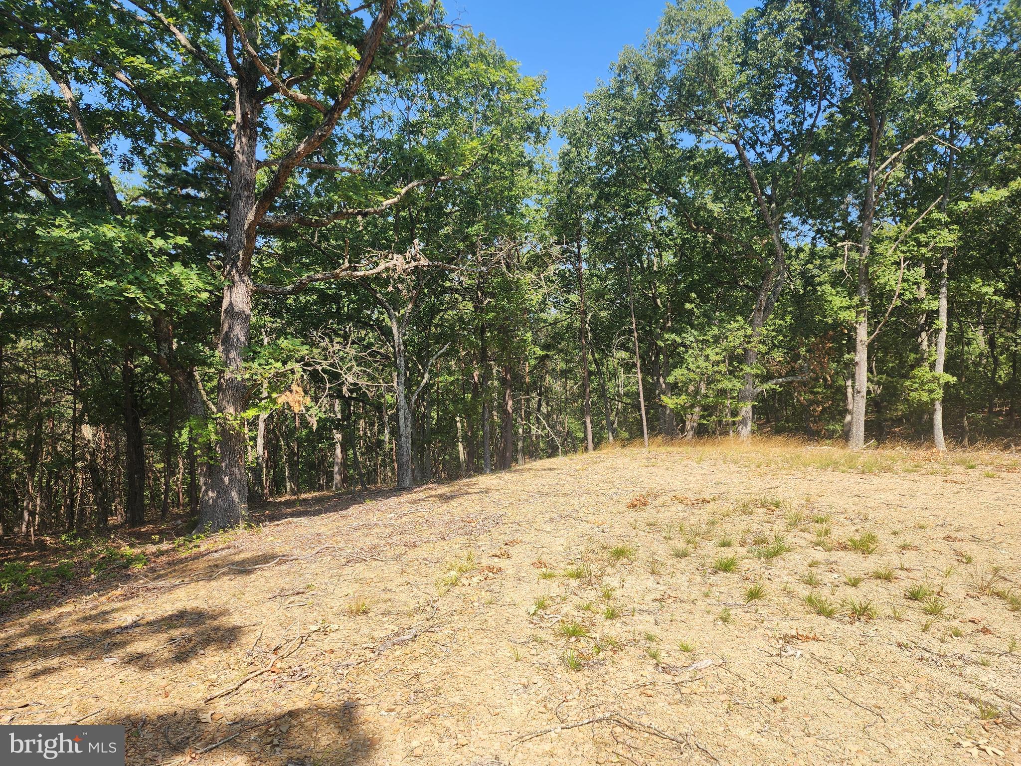 DEER RIDGE ESTATES - Land